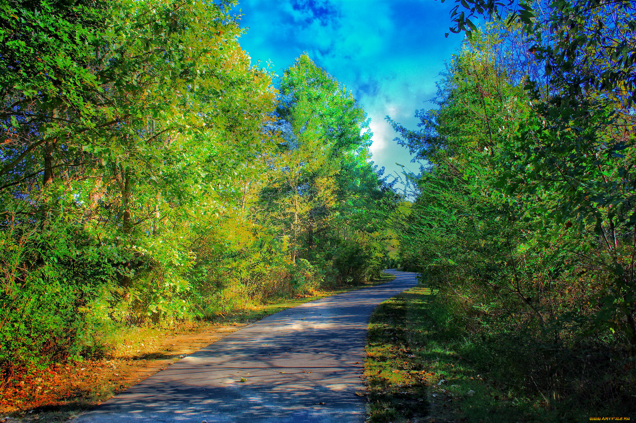 природа, реки, озера, простор