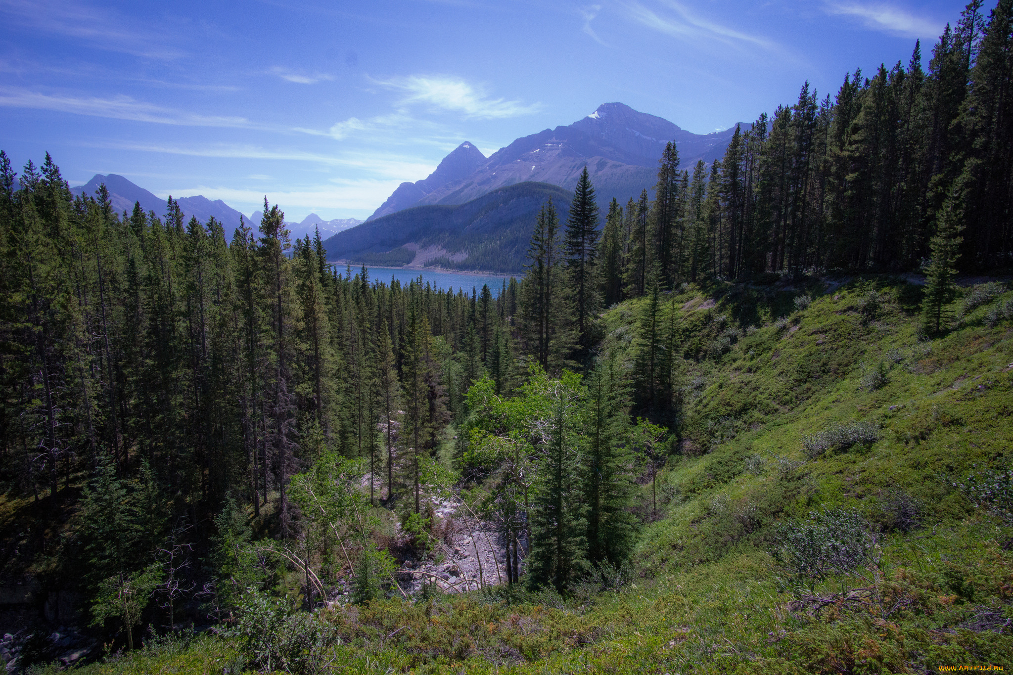 природа, горы, простор