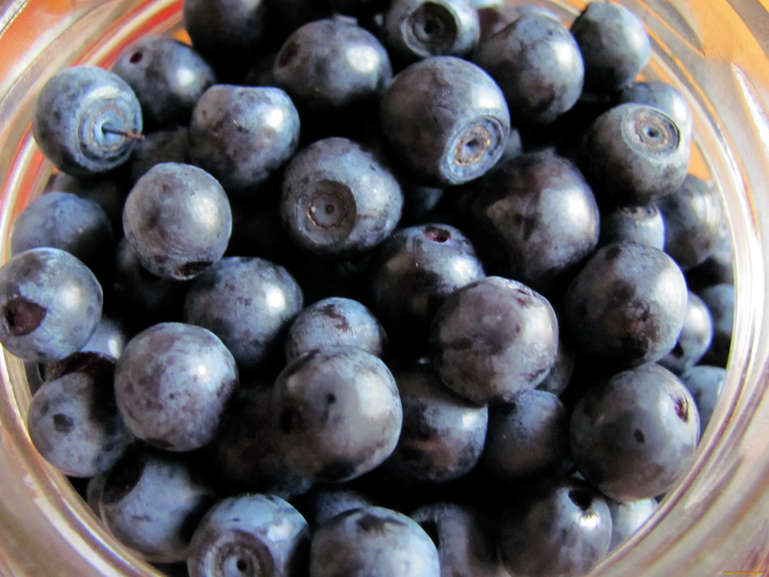 еда, голубика, , черника, черника, ягоды