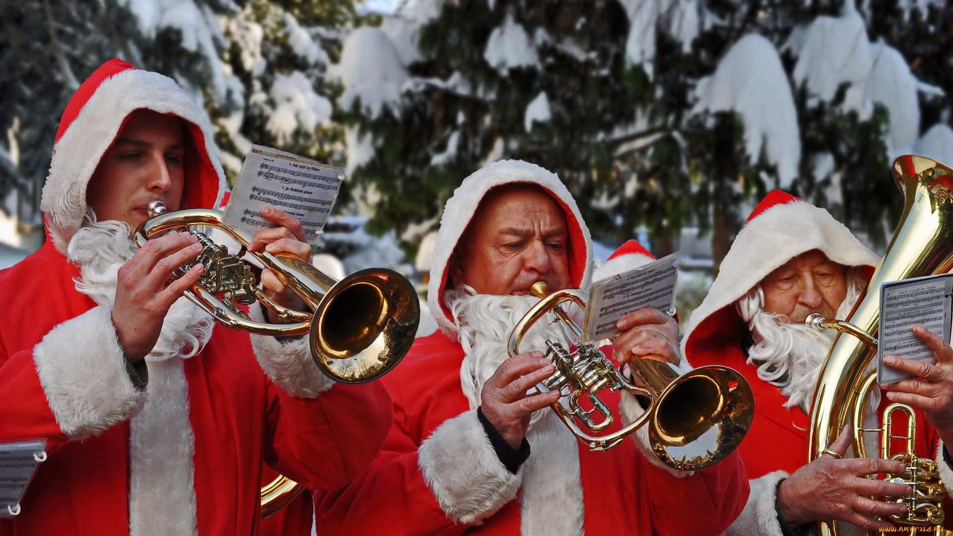 музыка, -другое, музыкант