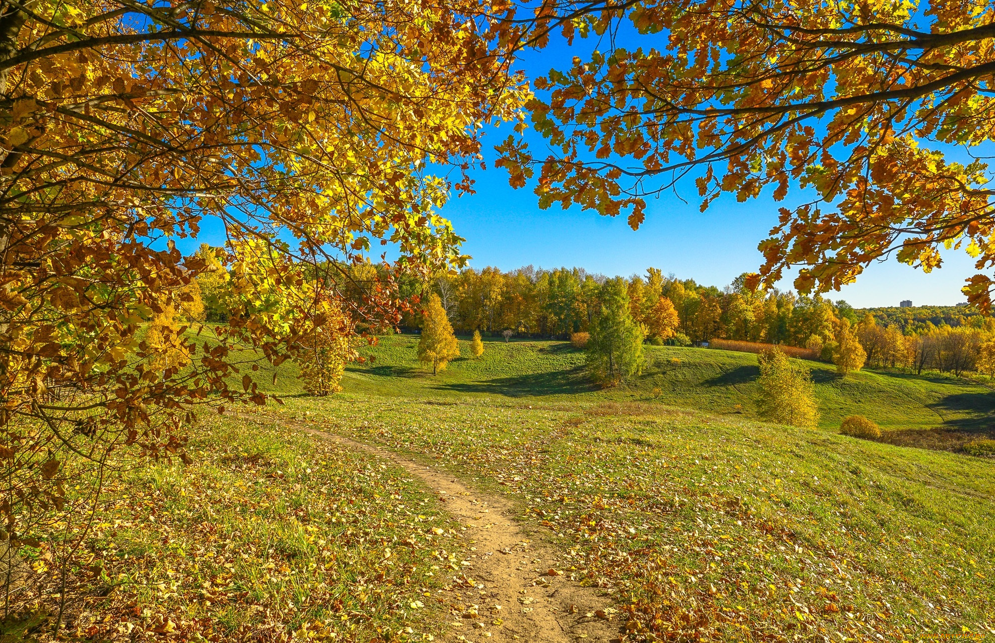 природа, пейзажи, простор