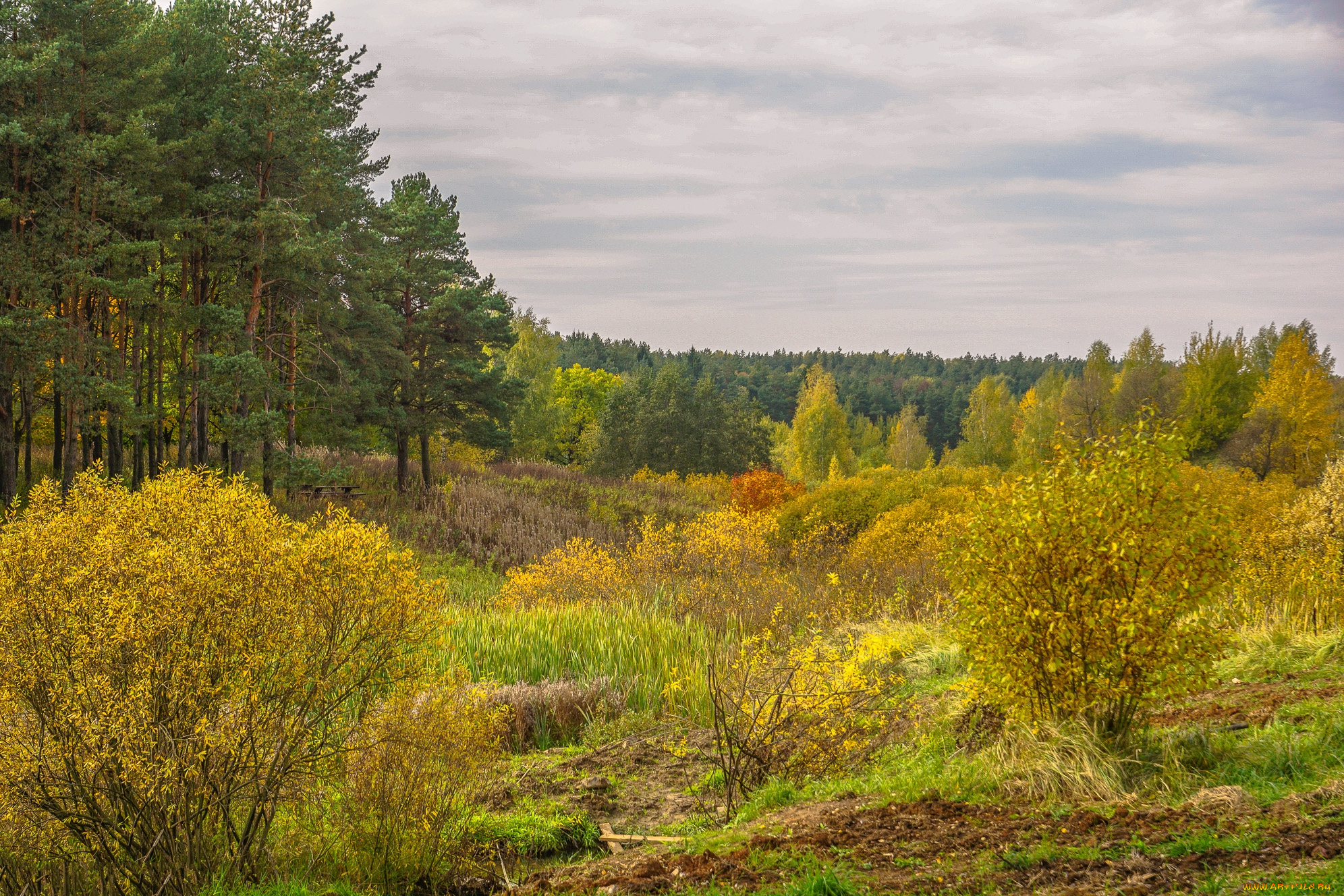 природа, пейзажи, простор
