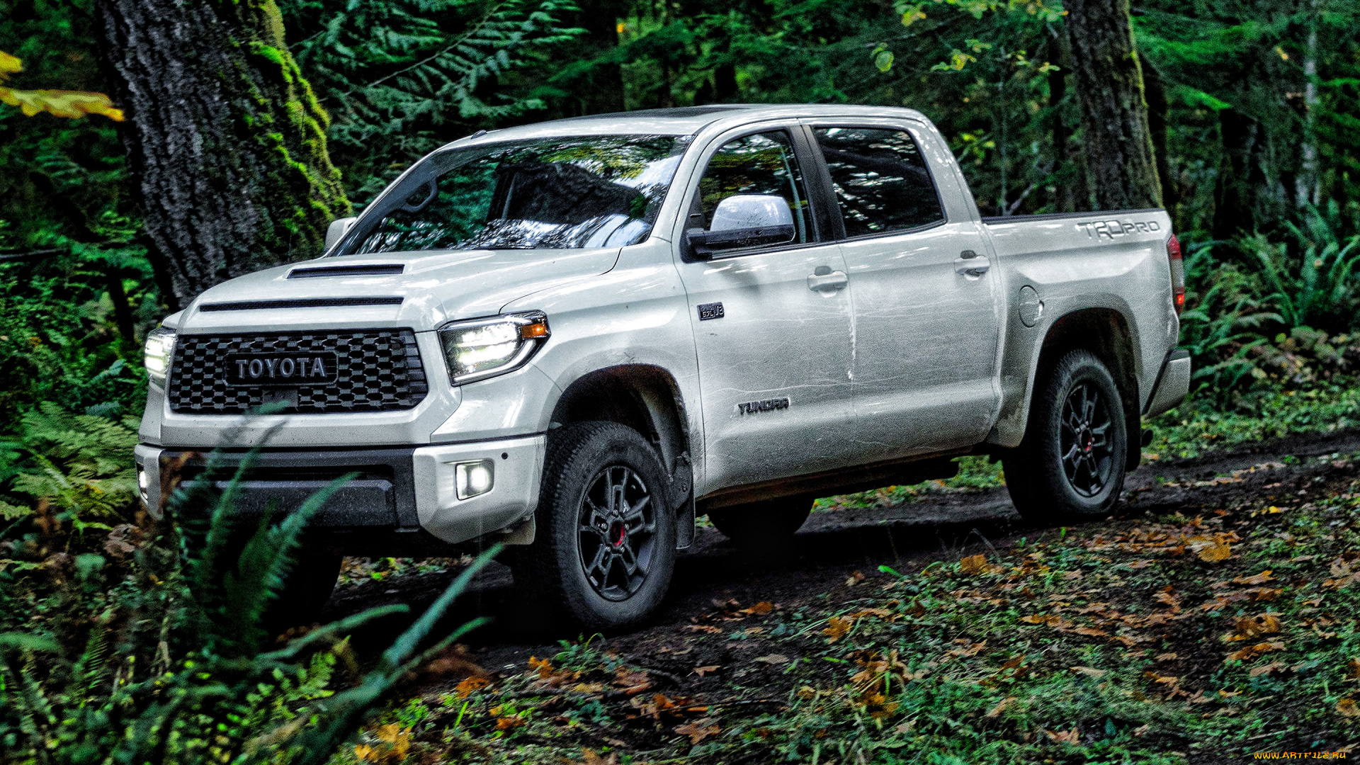 2020, toyota, tundra, trd, pro, автомобили, toyota, 2020, tundra, экстерьер, вид, спереди, trd, pro, белый, пикап, новинки, авто, японские