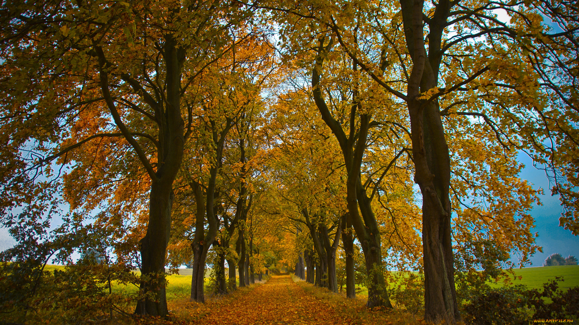 природа, дороги, простор