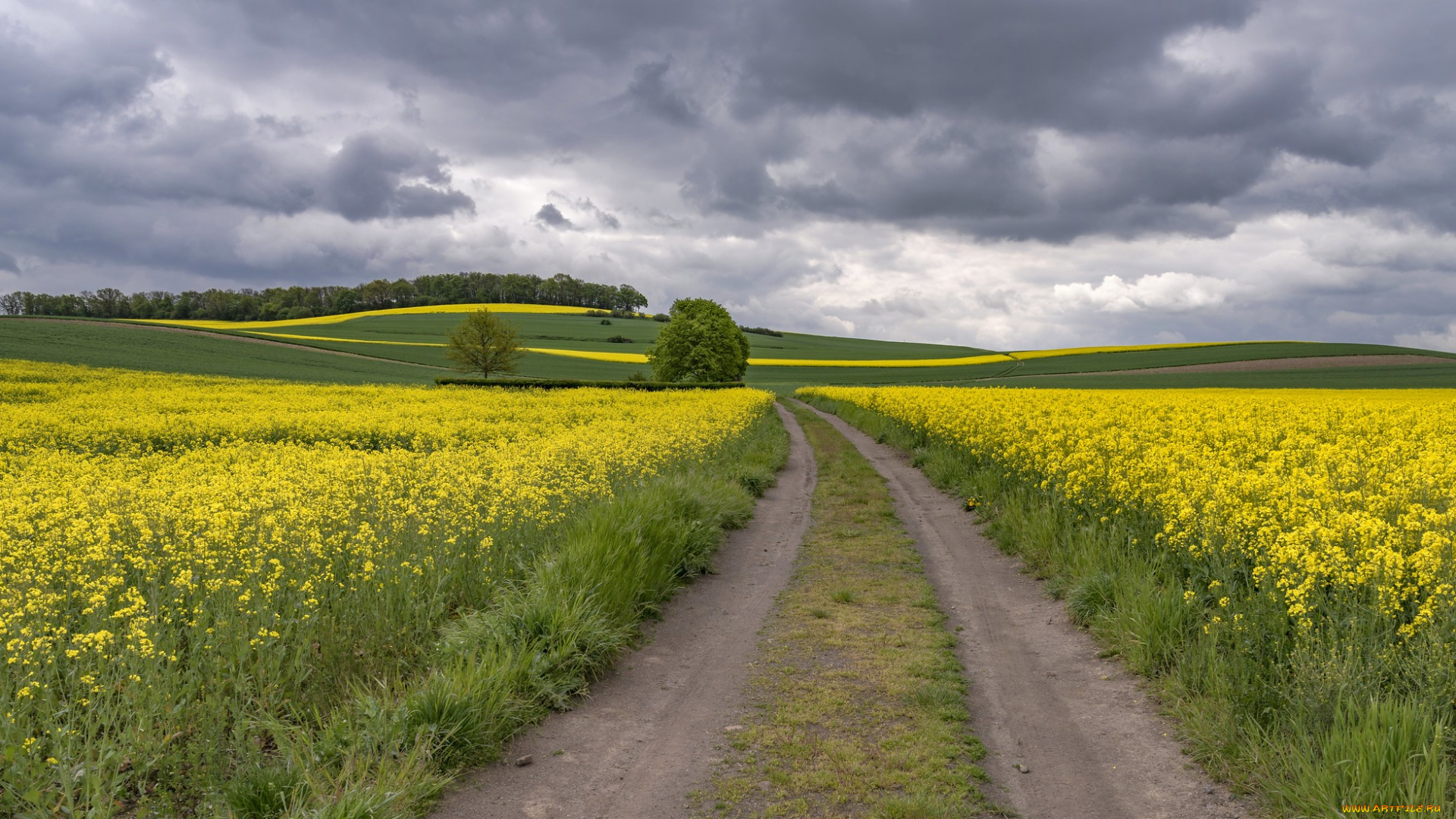 природа, дороги, простор