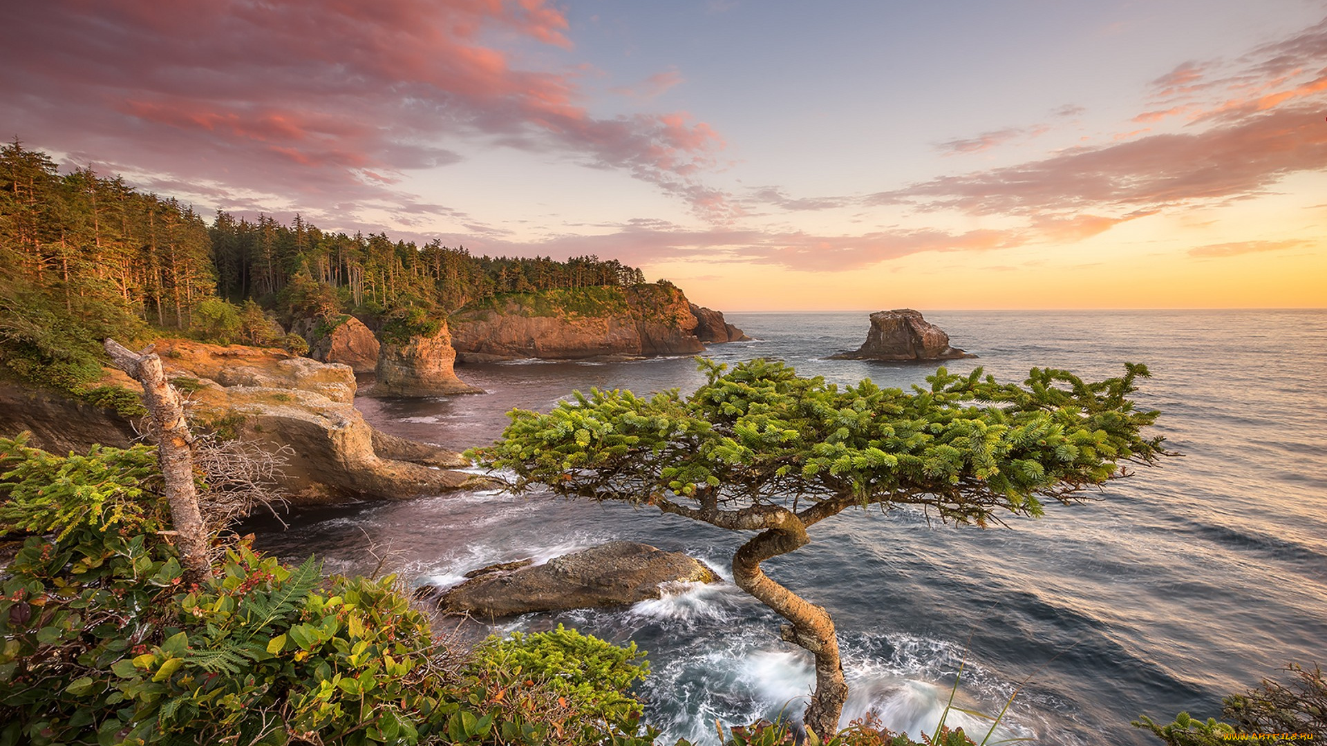 природа, побережье, простор