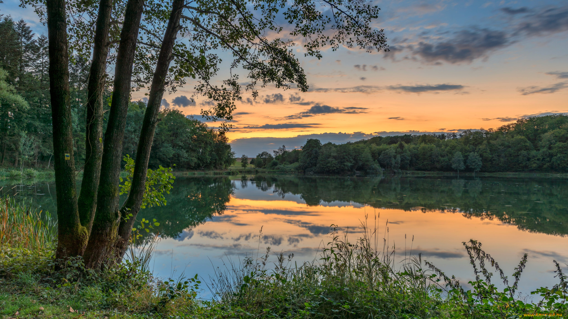 природа, реки, озера, простор