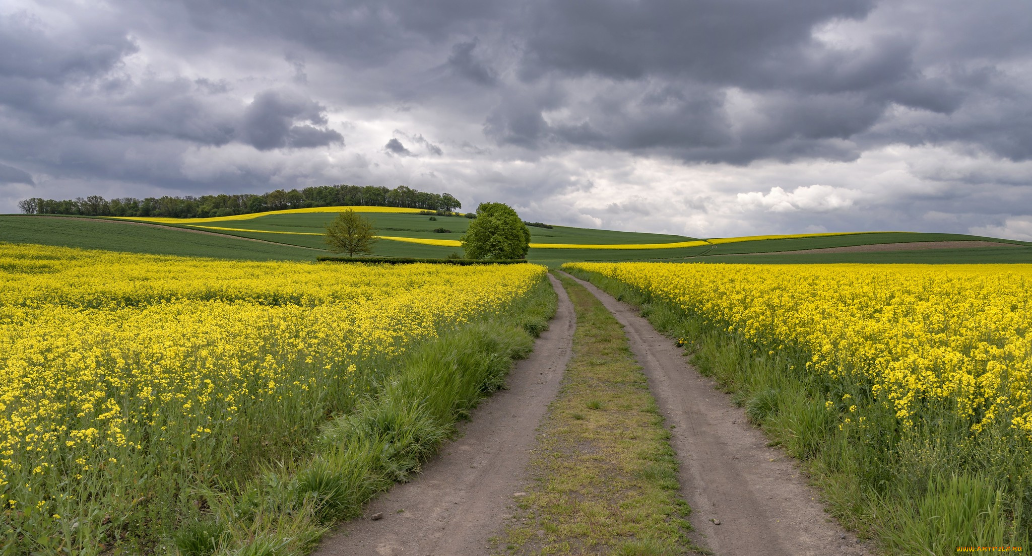 природа, дороги, простор