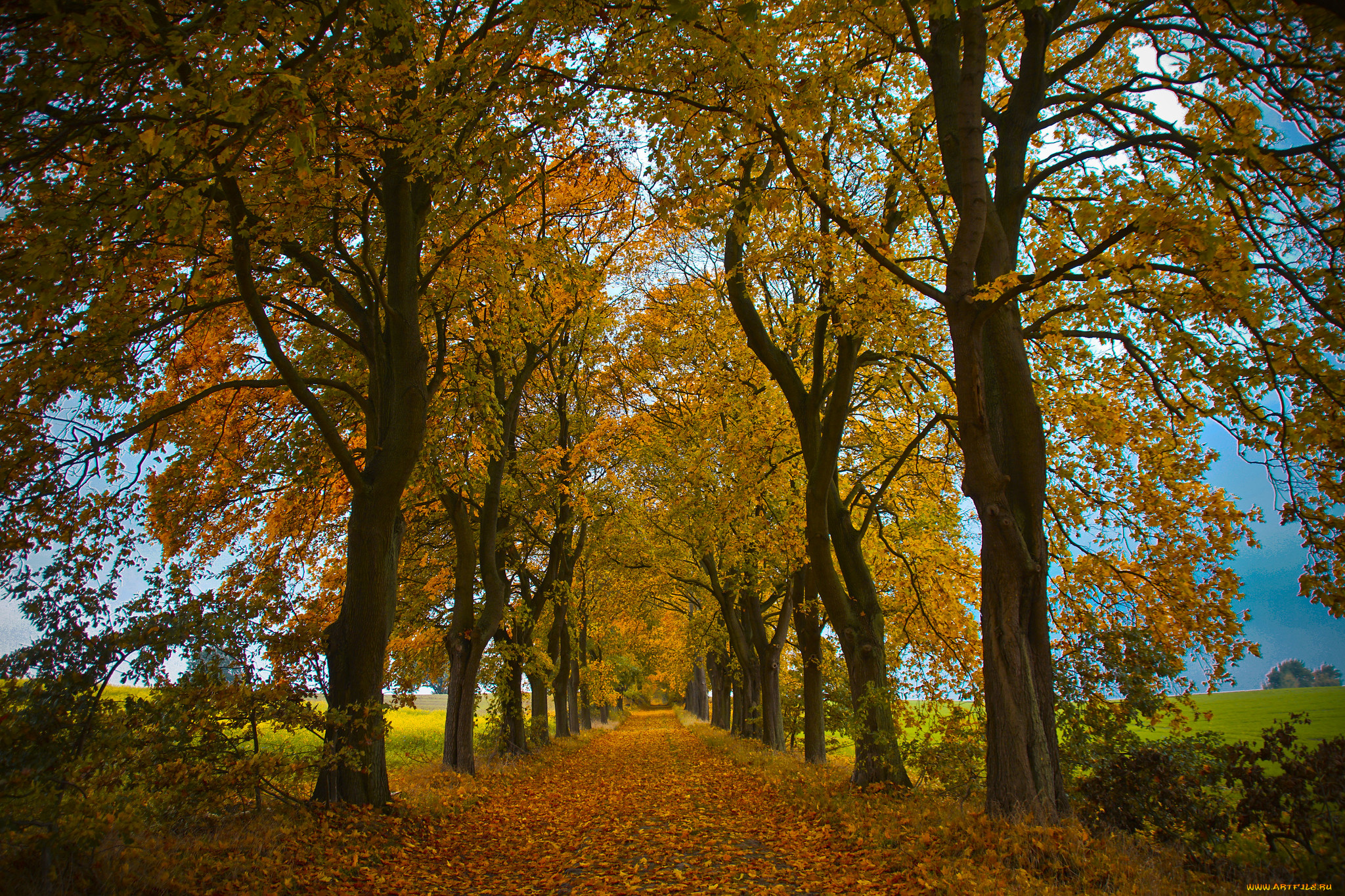 природа, дороги, простор