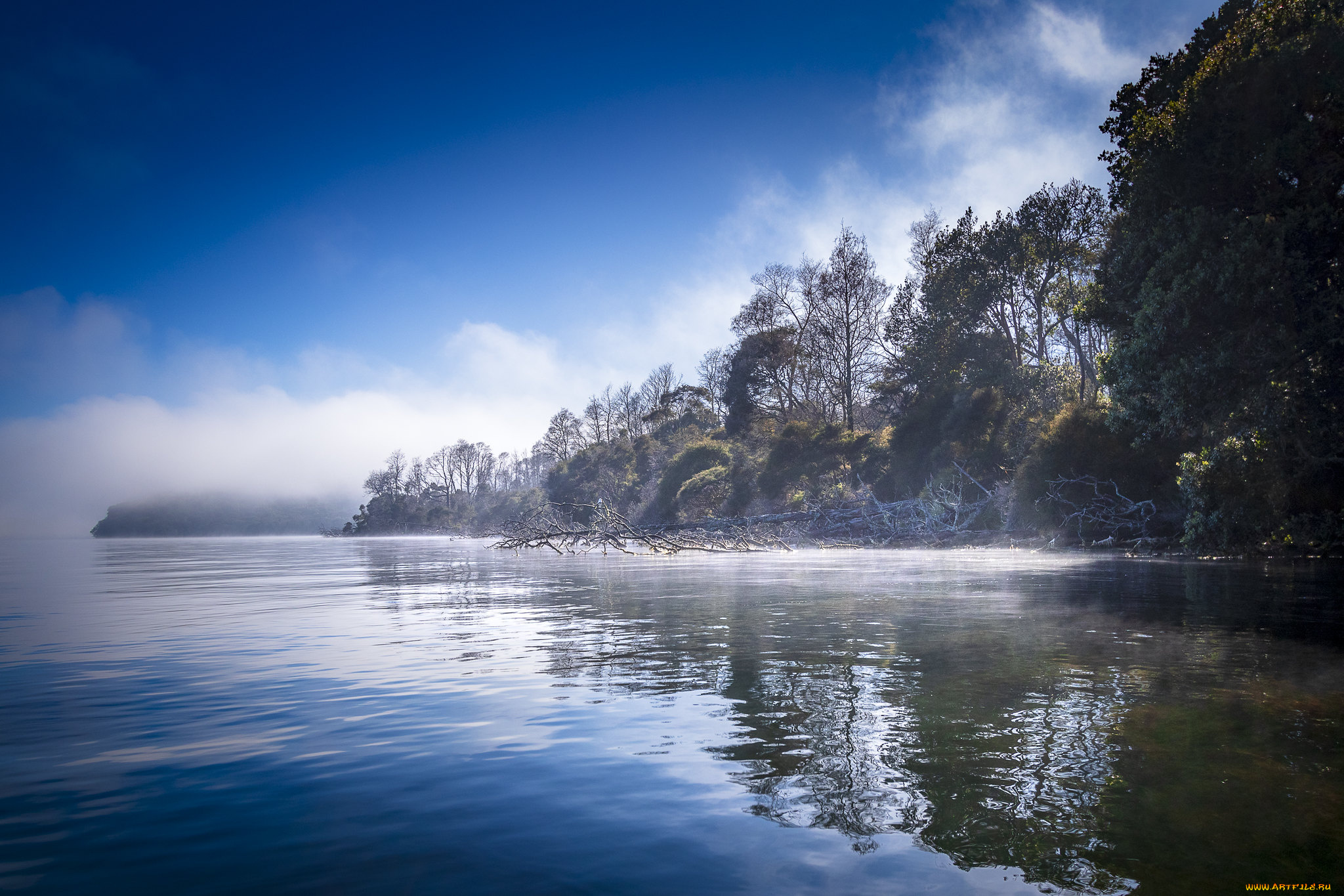 природа, реки, озера, простор