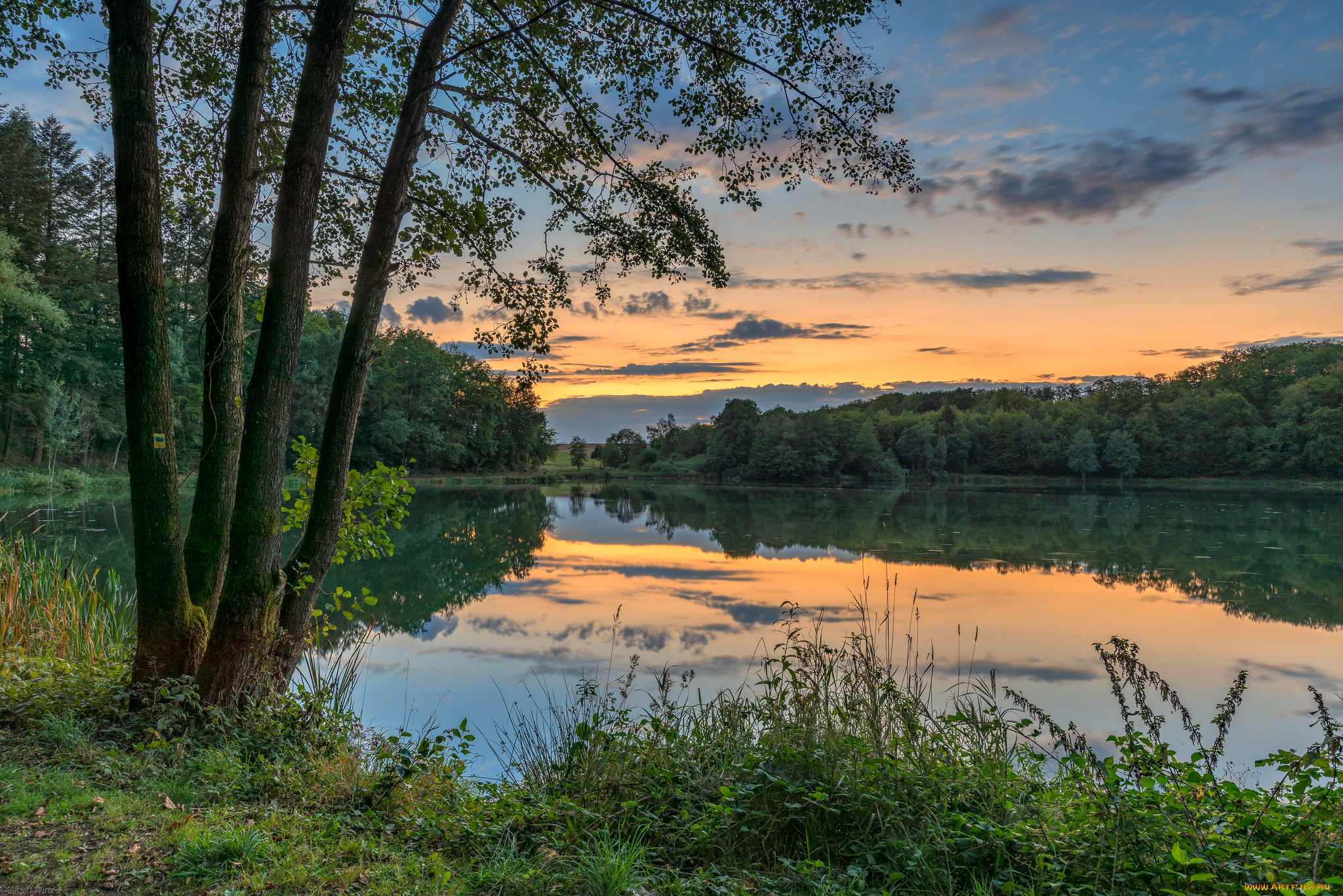 природа, реки, озера, простор