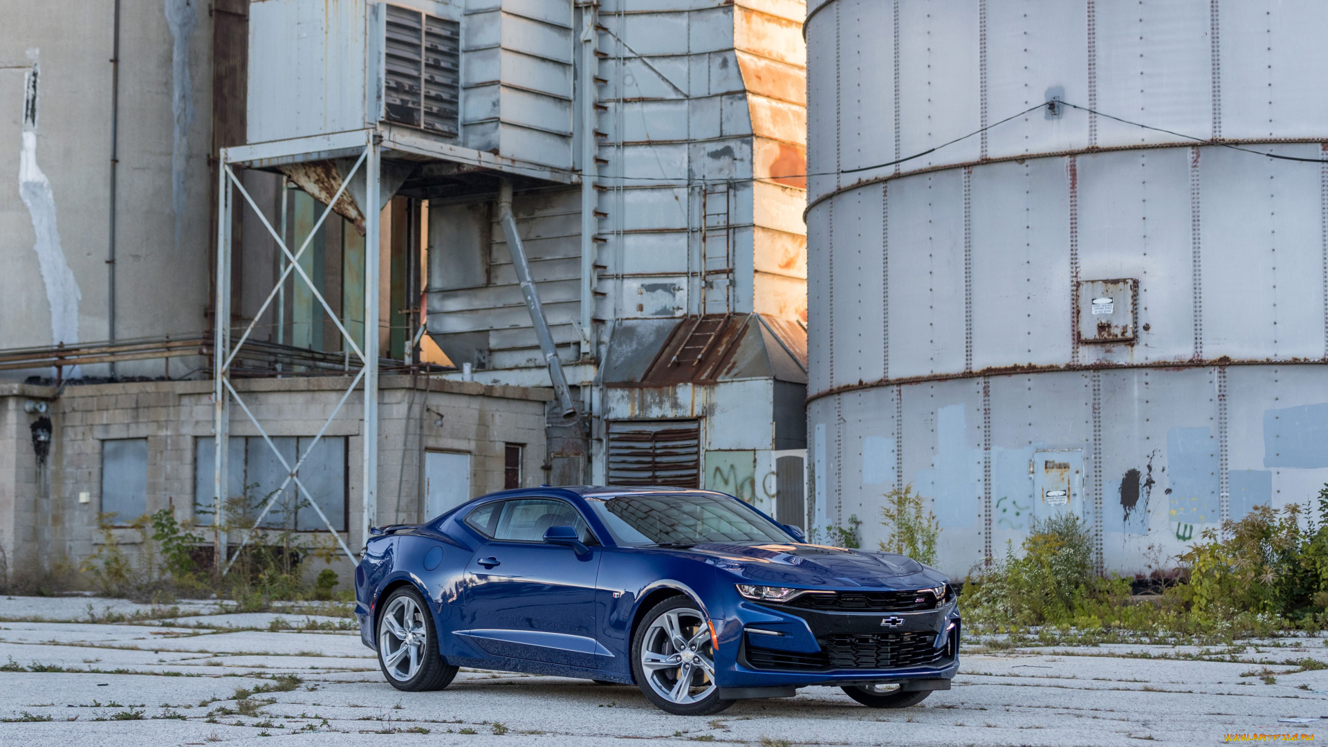 автомобили, camaro