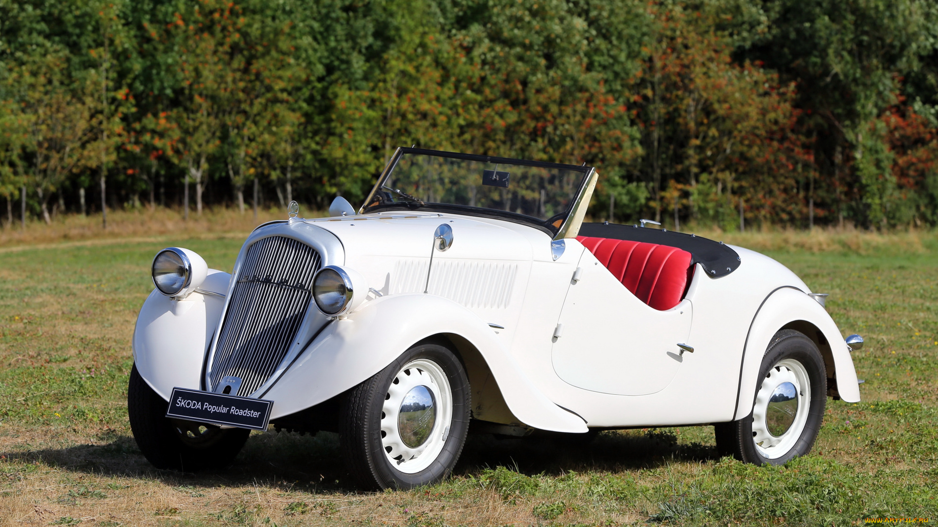 автомобили, классика, skoda, 420, popular