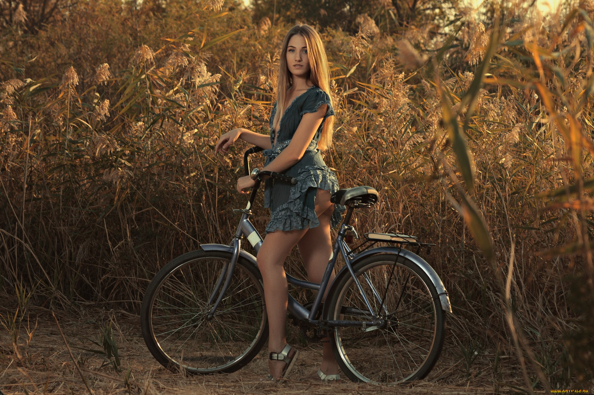 девушки, -, блондинки, , светловолосые, блондинка, платье, велосипед, камыши