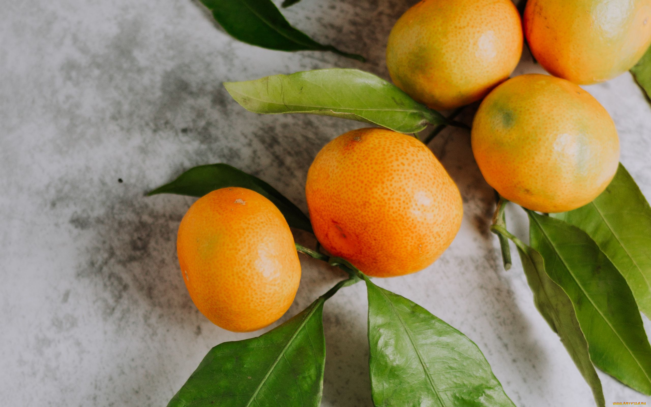 еда, цитрусы, мандарины