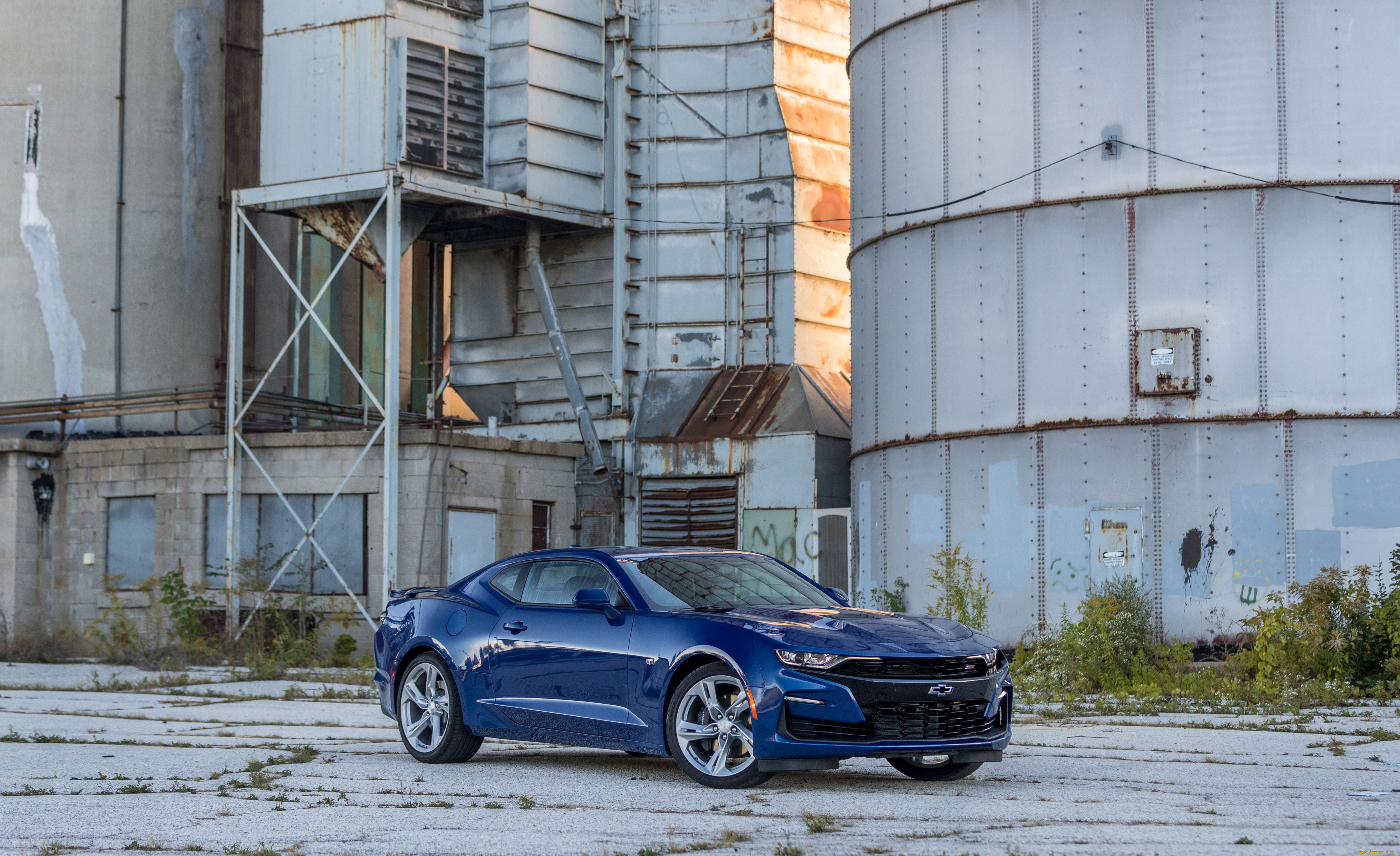 автомобили, camaro