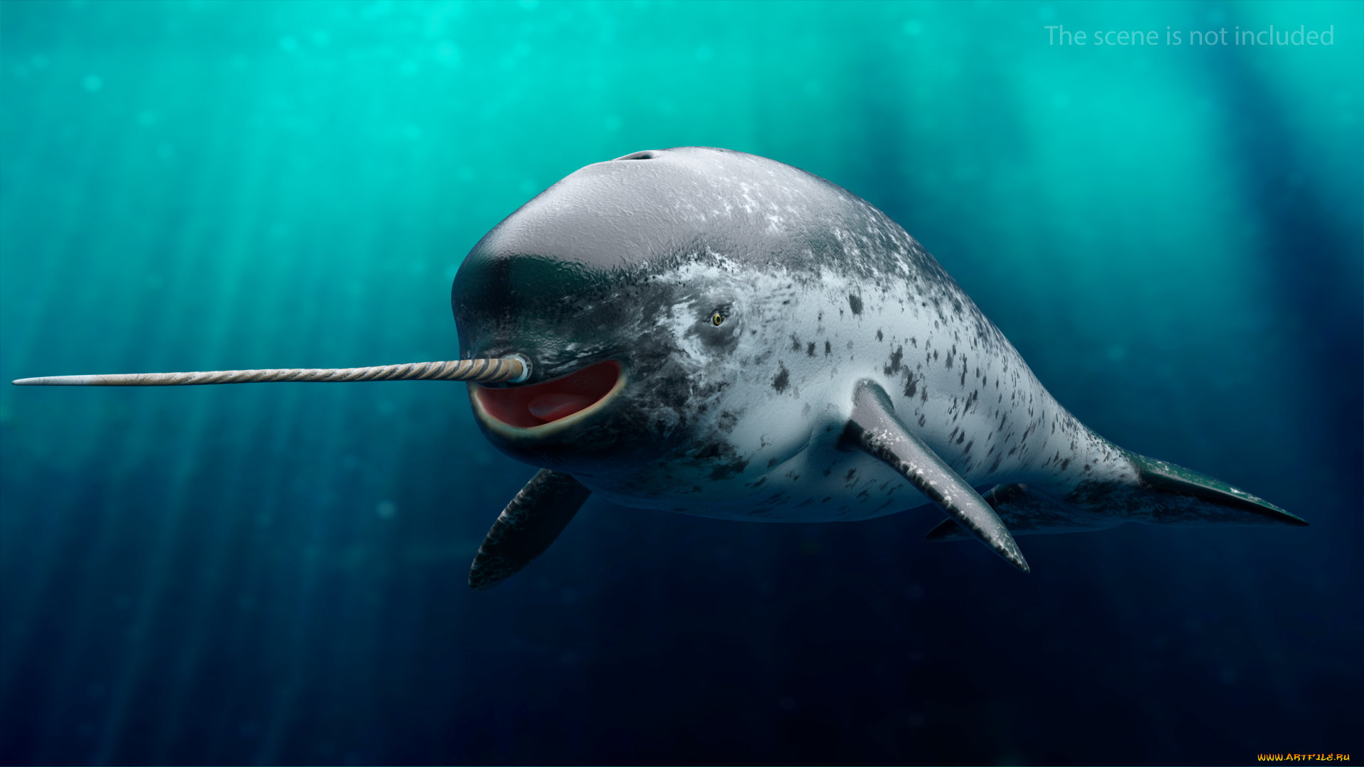 3д, графика, животные, , animals, нарвал, море