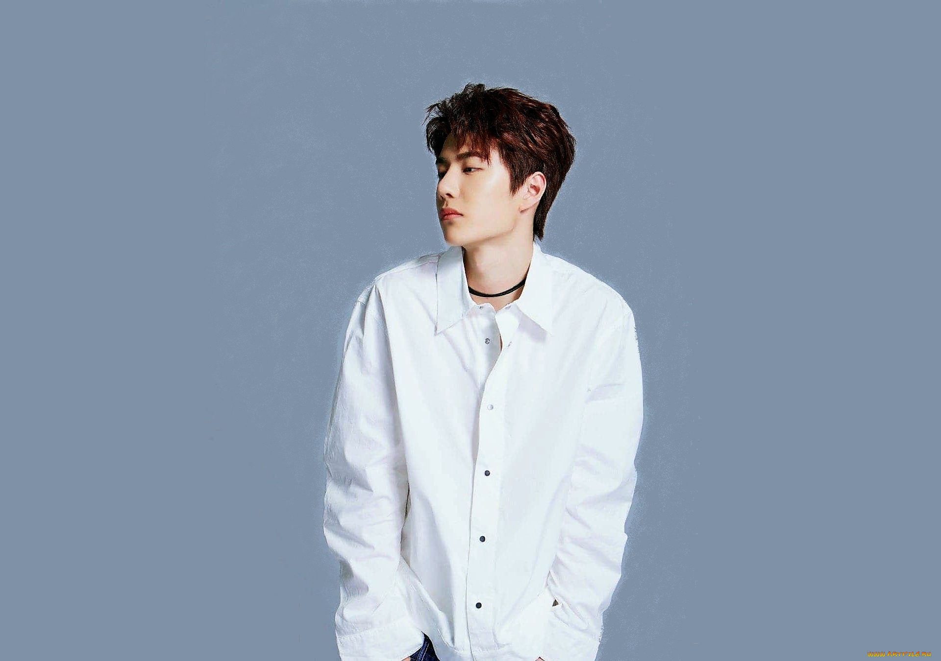 мужчины, wang, yi, bo, артист, рубашка