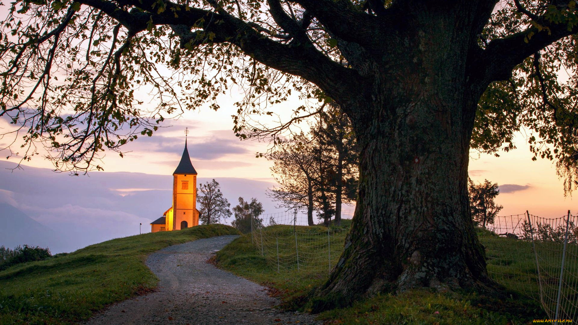 города, -, католические, соборы, , костелы, , аббатства, костел