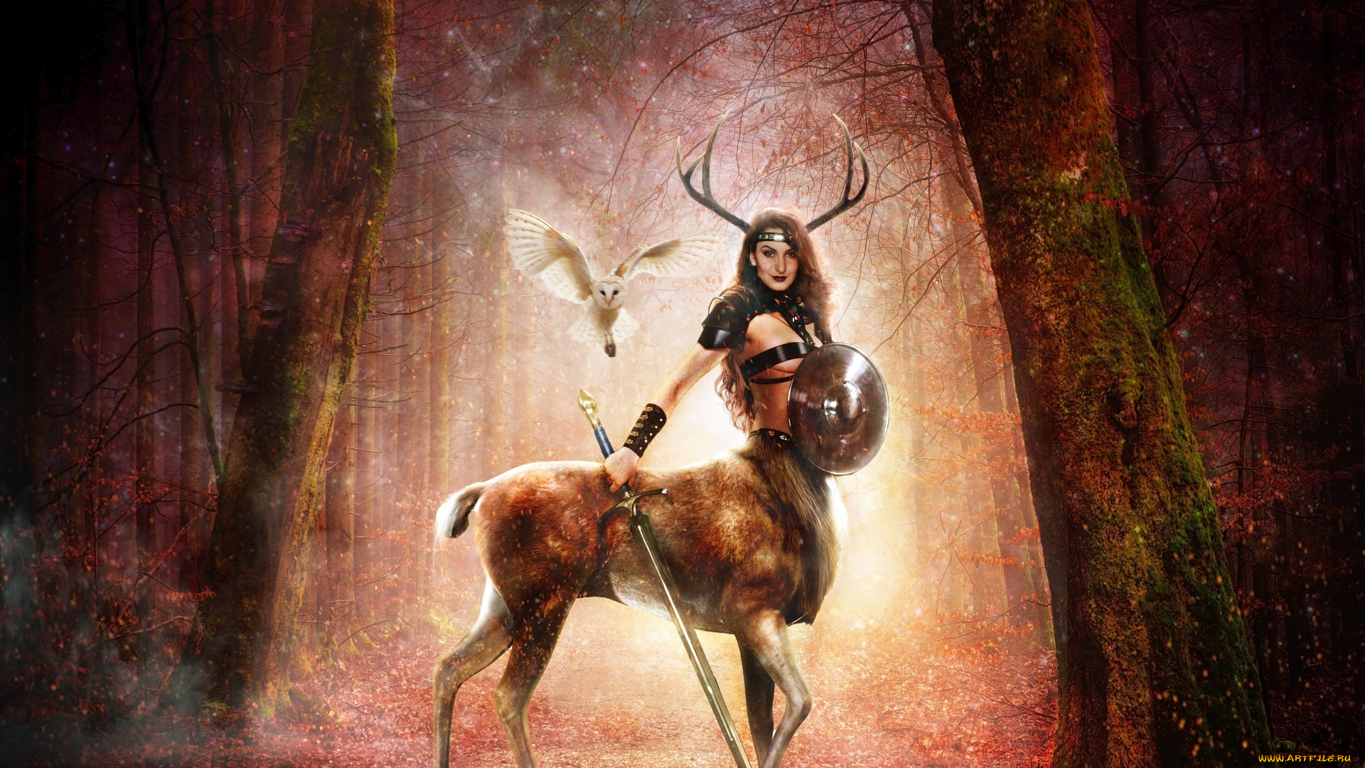 разное, компьютерный, дизайн, девушка, фон, взгляд, оружие, кентавр, сова