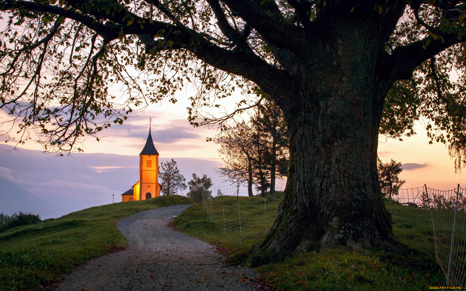 города, -, католические, соборы, , костелы, , аббатства, костел