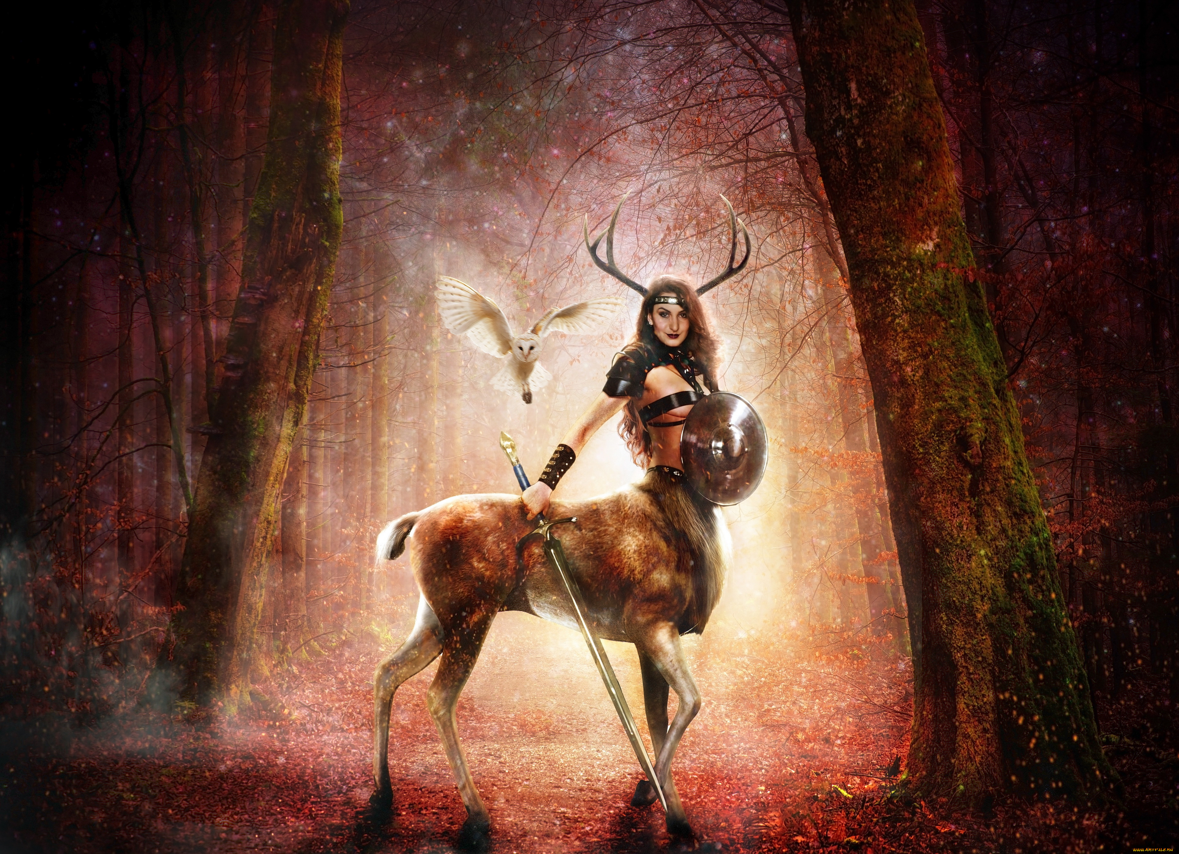 разное, компьютерный, дизайн, девушка, фон, взгляд, оружие, кентавр, сова