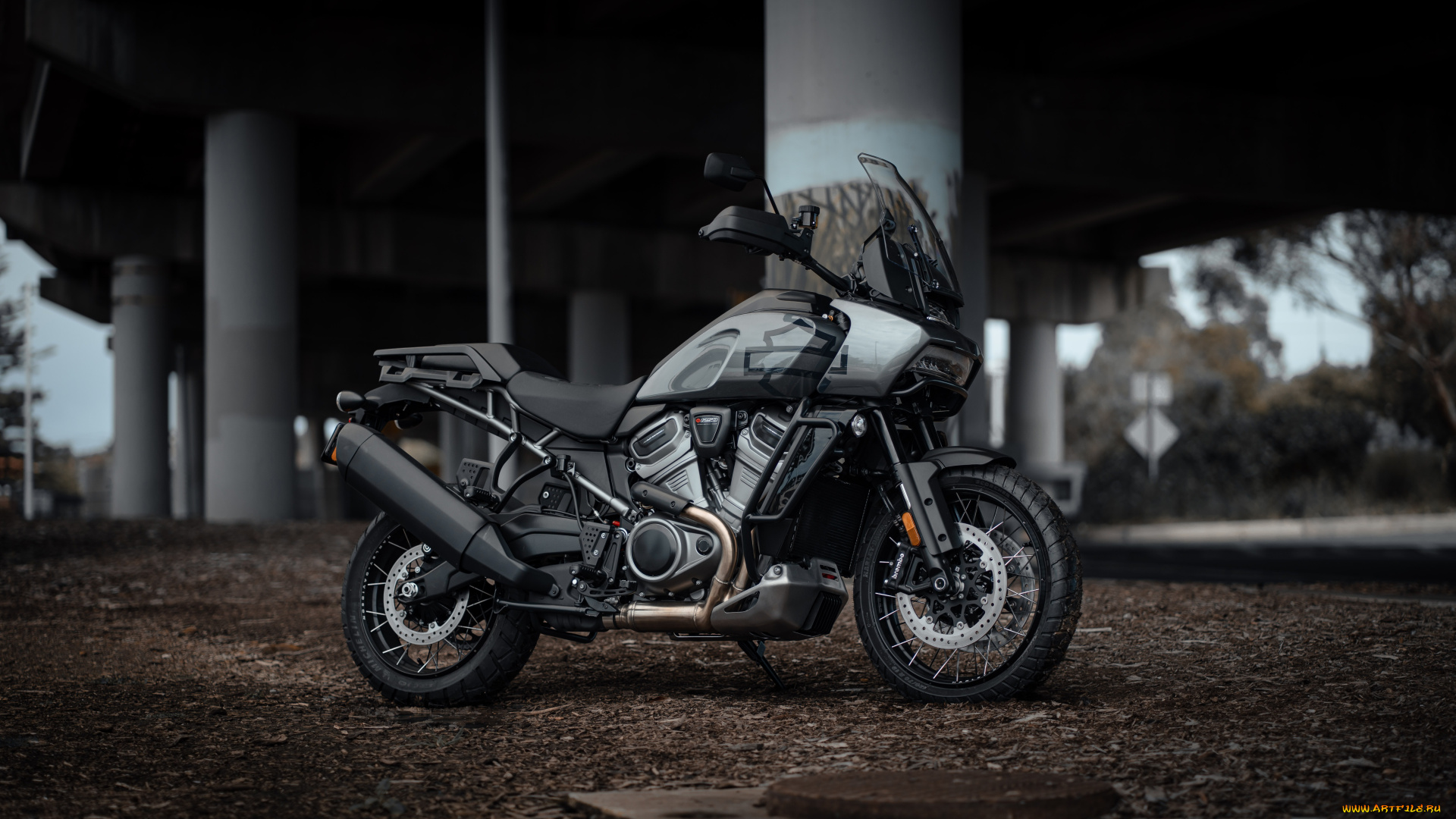 harley, мотоциклы, harley-davidson, мотоцикл, байк