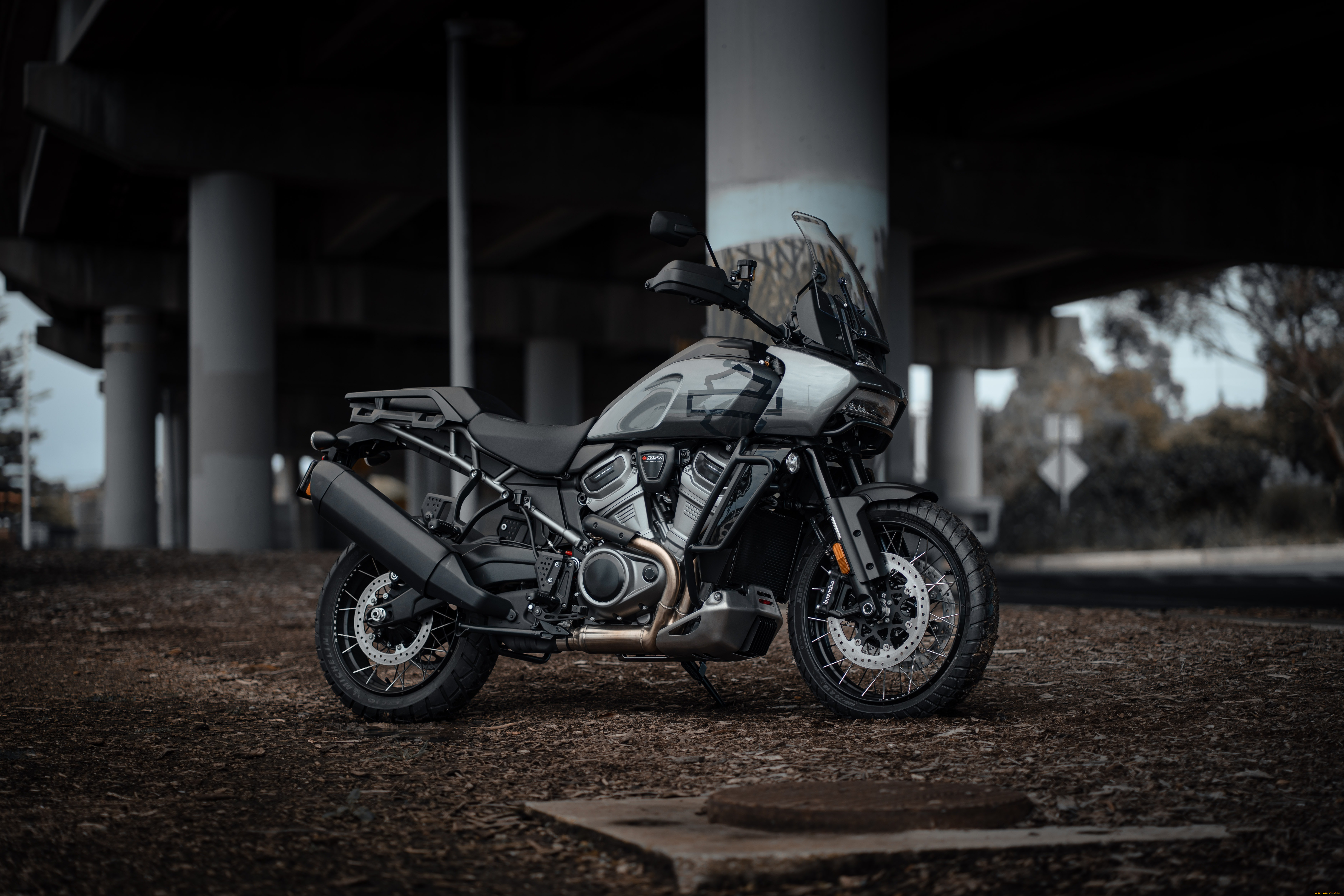 harley, мотоциклы, harley-davidson, мотоцикл, байк