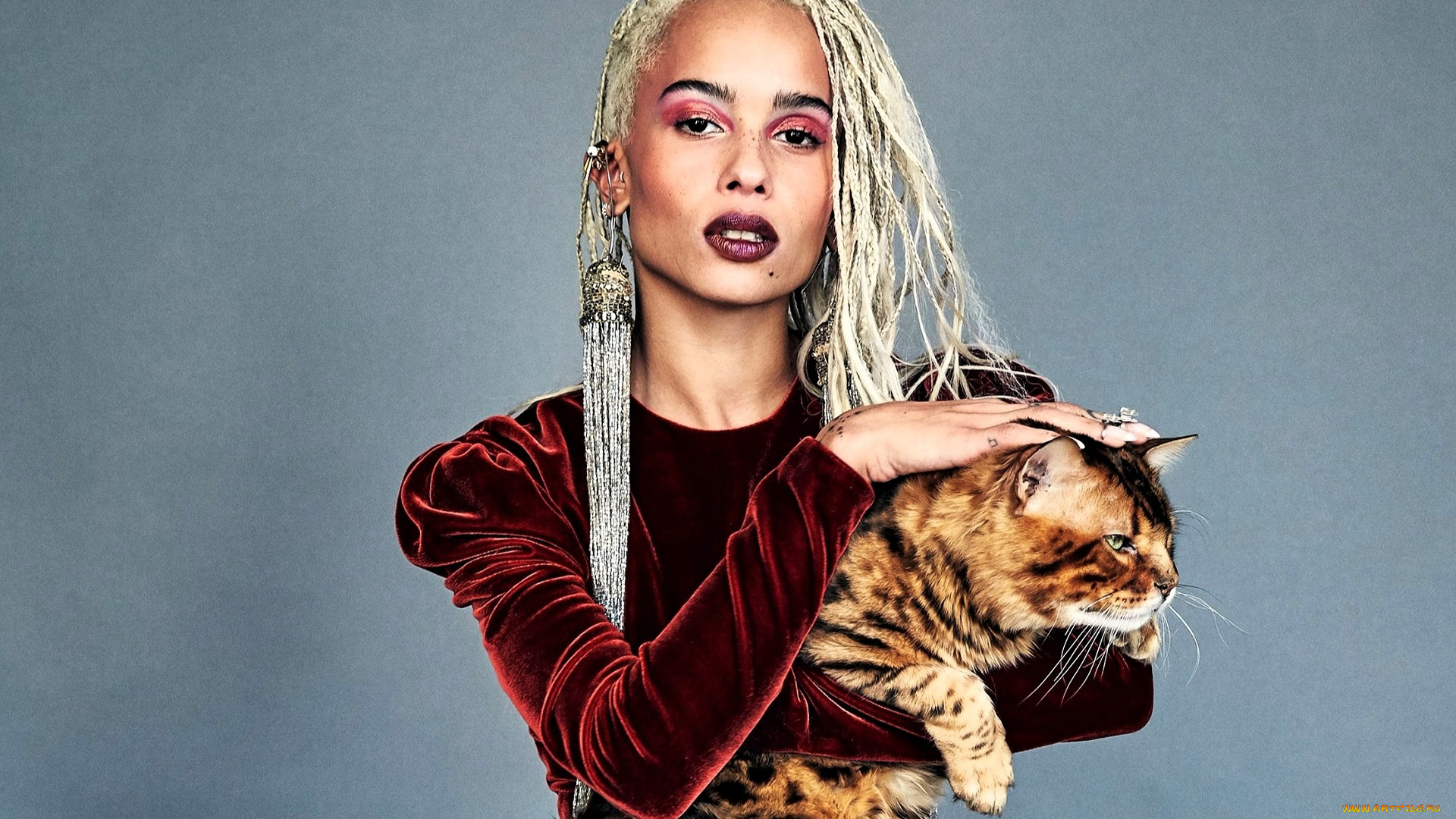 девушки, zoe, kravitz, блондинка, платье, кот