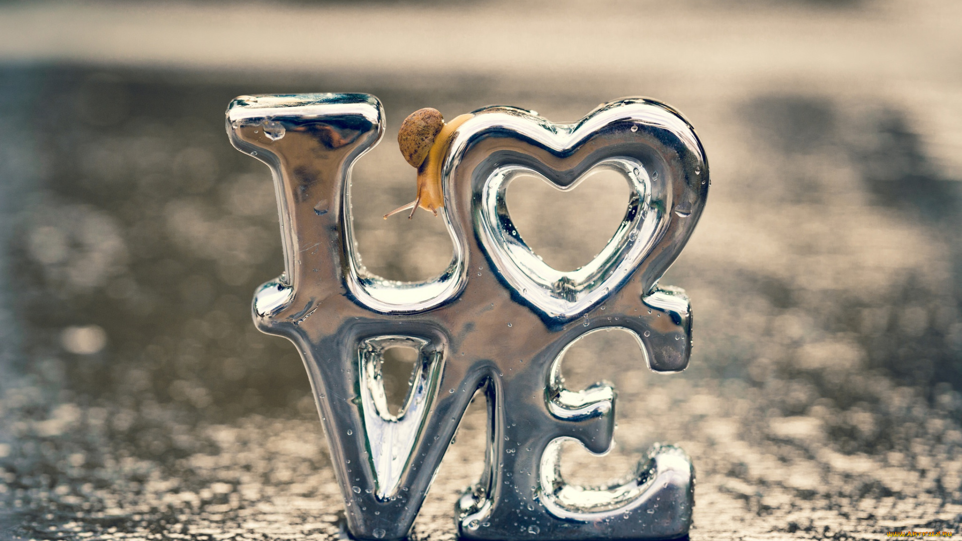 праздничные, день, святого, валентина, , сердечки, , любовь, любовь