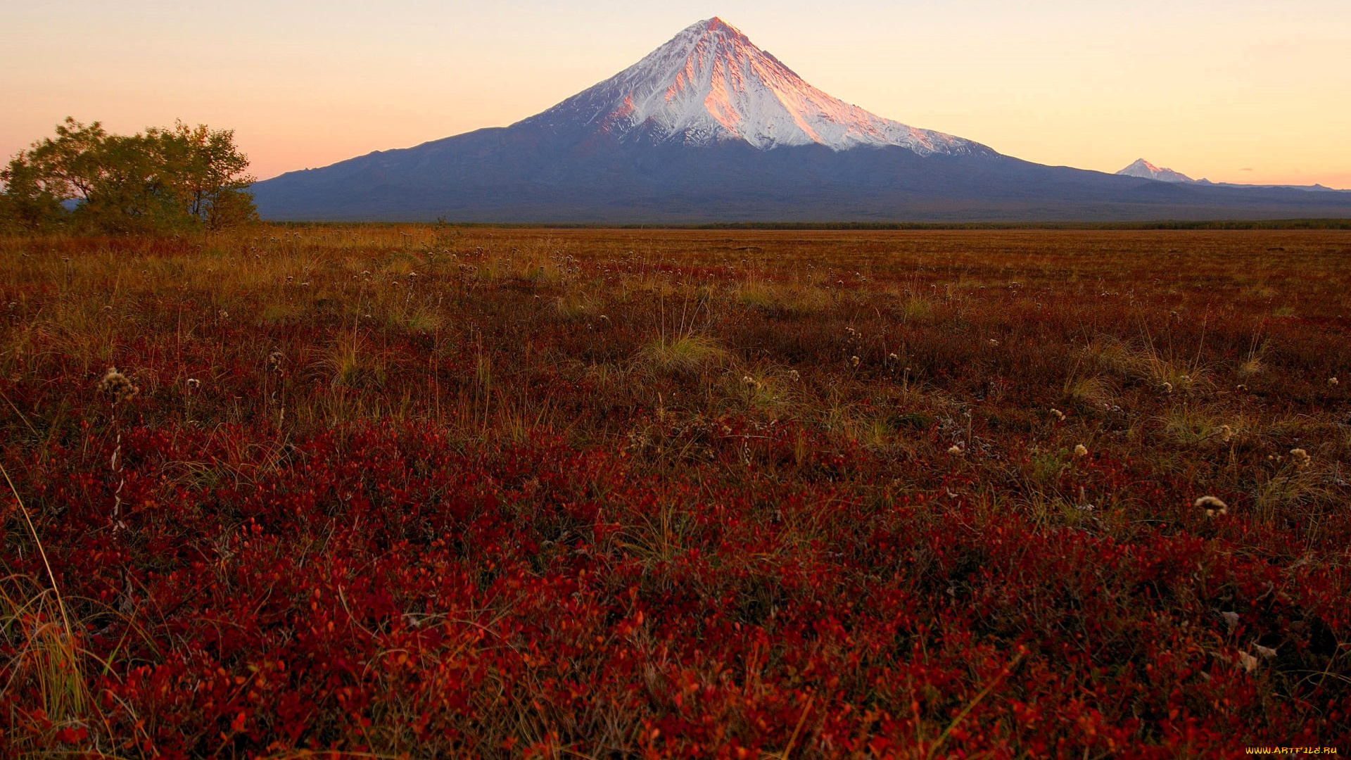 природа, горы, гора, деревья, луг, трава, цветы