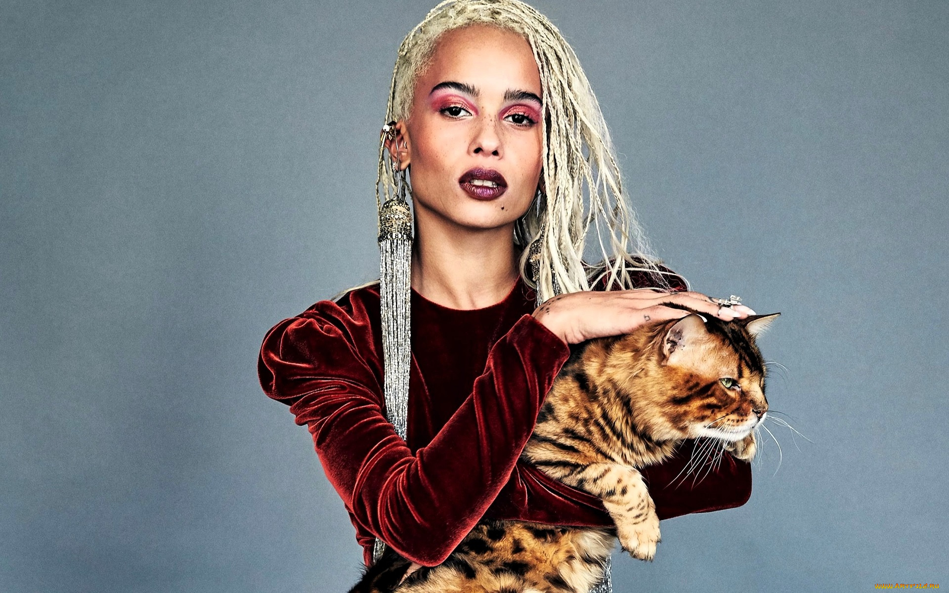 девушки, zoe, kravitz, блондинка, платье, кот