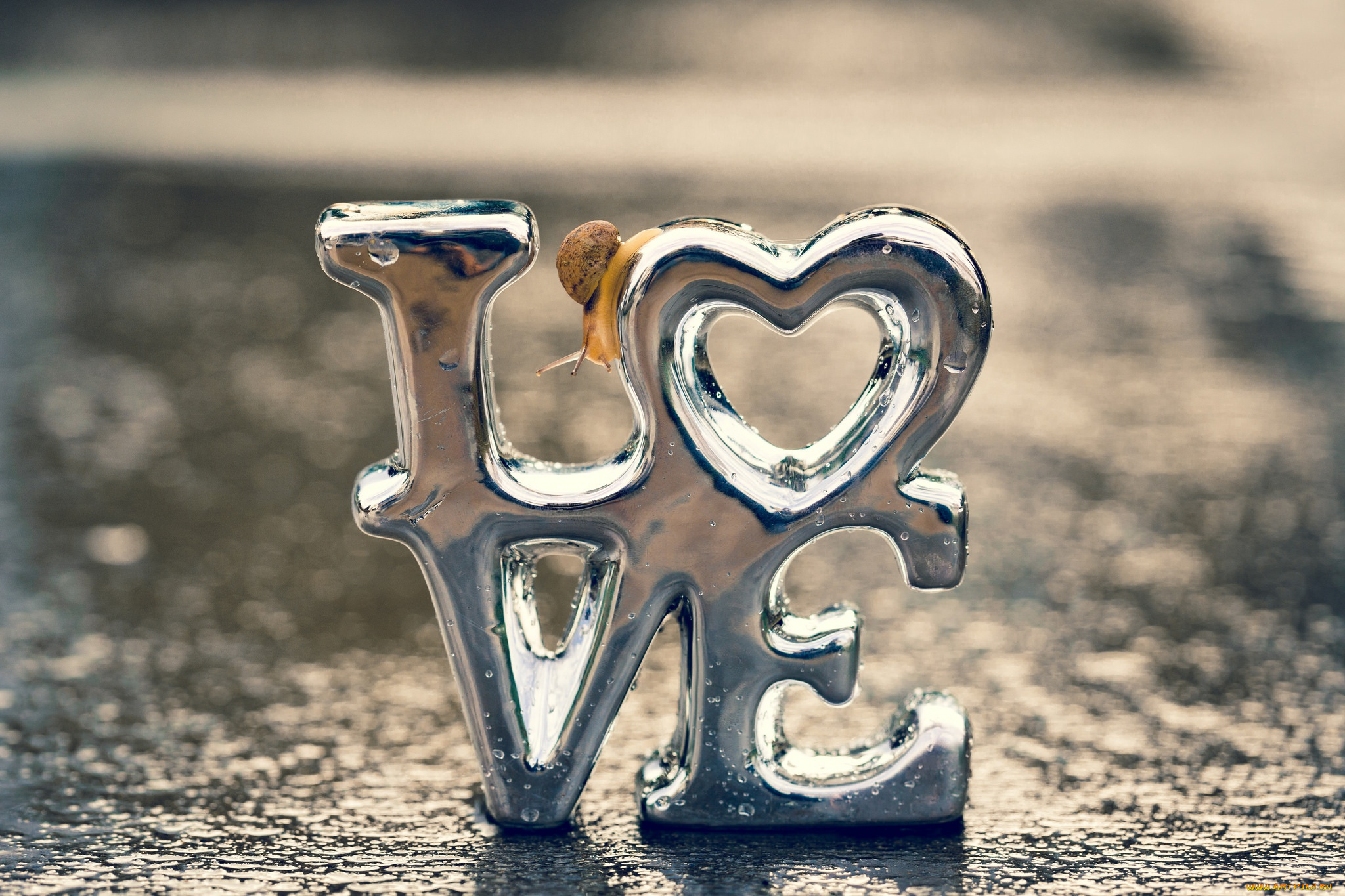 праздничные, день, святого, валентина, , сердечки, , любовь, любовь