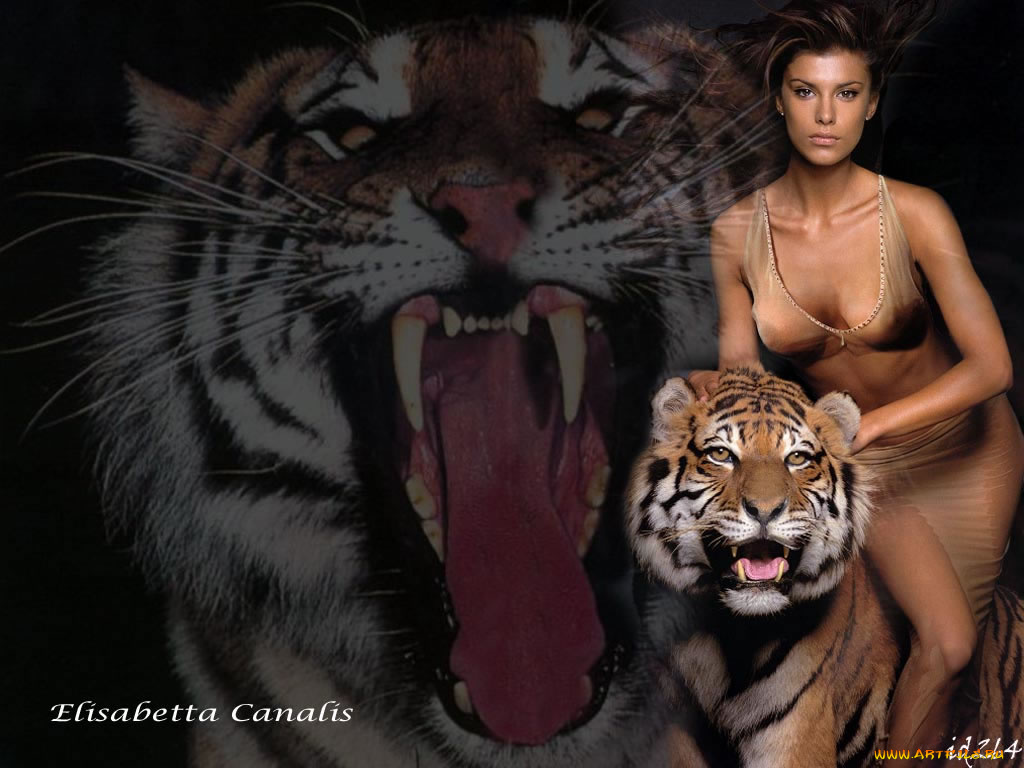 Elisabetta, Canalis, кошечки, девушки