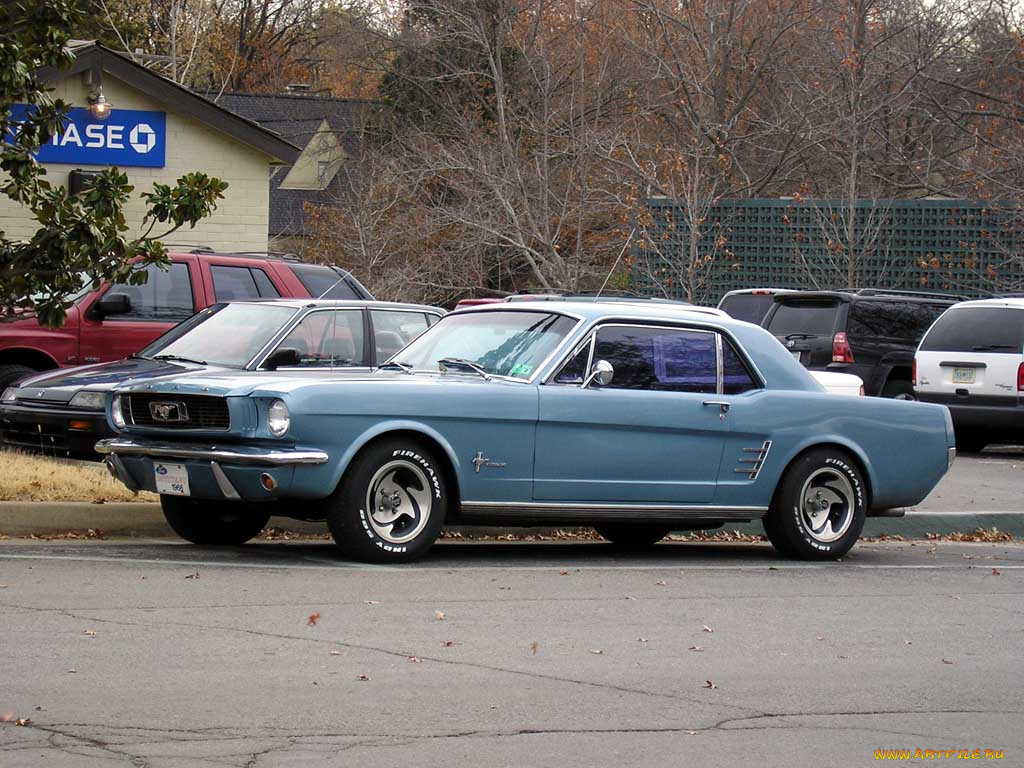 ford, mustang, 1966, автомобили, выставки, уличные, фото