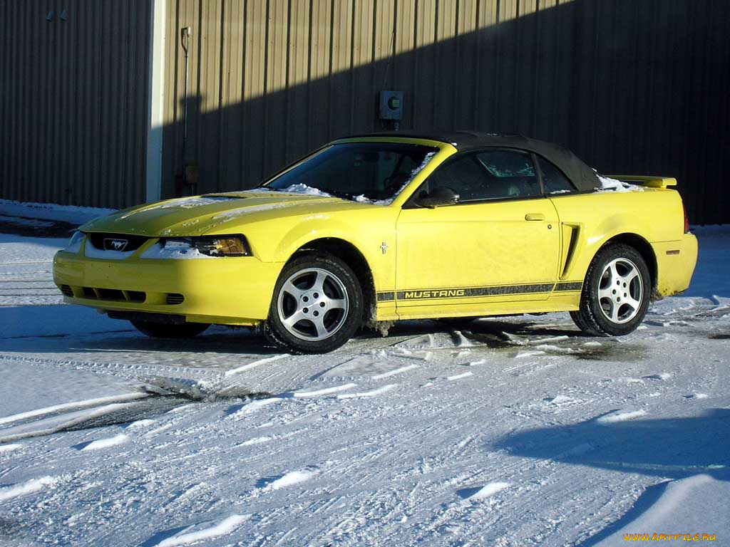 ford, mustang, автомобили