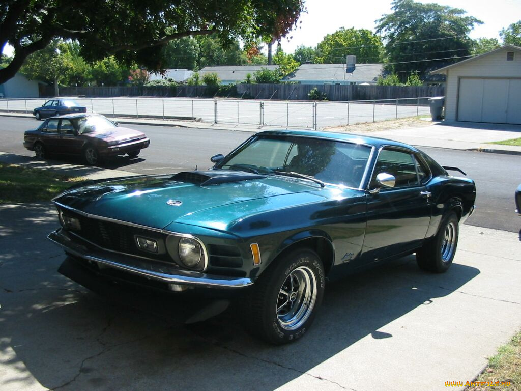 ford, mustang, boss, автомобили
