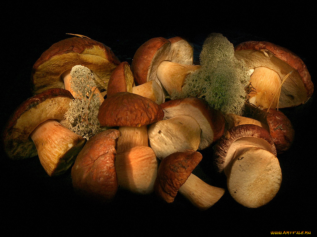 borisova, боровички, еда, грибы, грибные, блюда