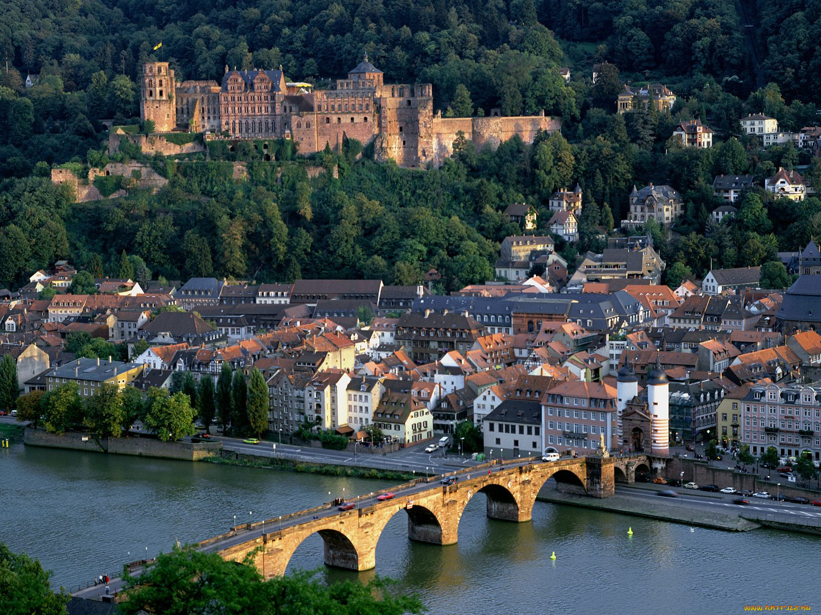 heidelberg, germany, города, гейдельберг, германия