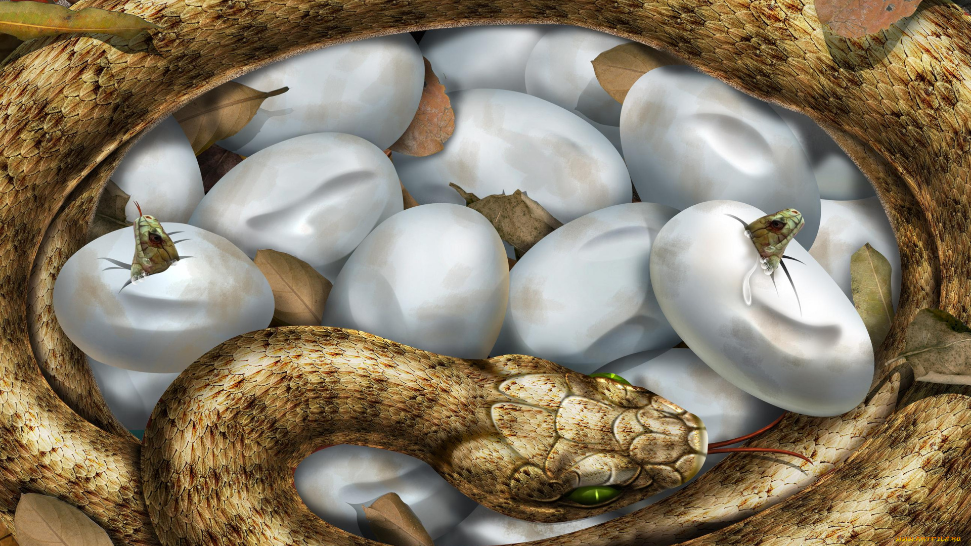 рисованные, животные, змеи