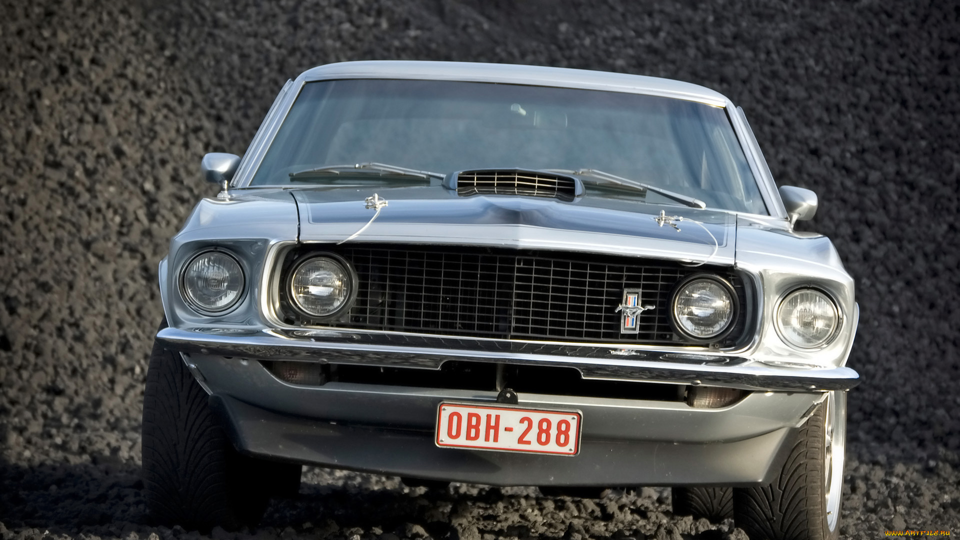 автомобили, mustang