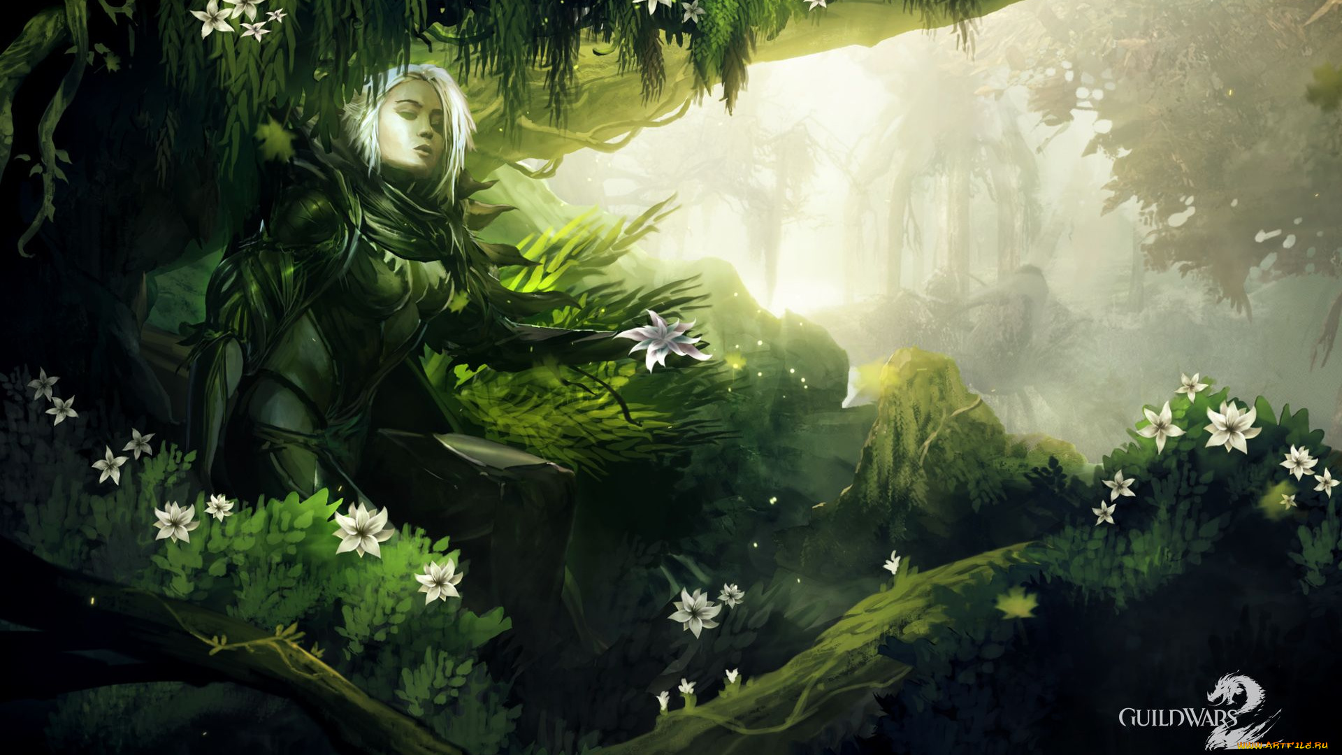 guild, wars, видео, игры