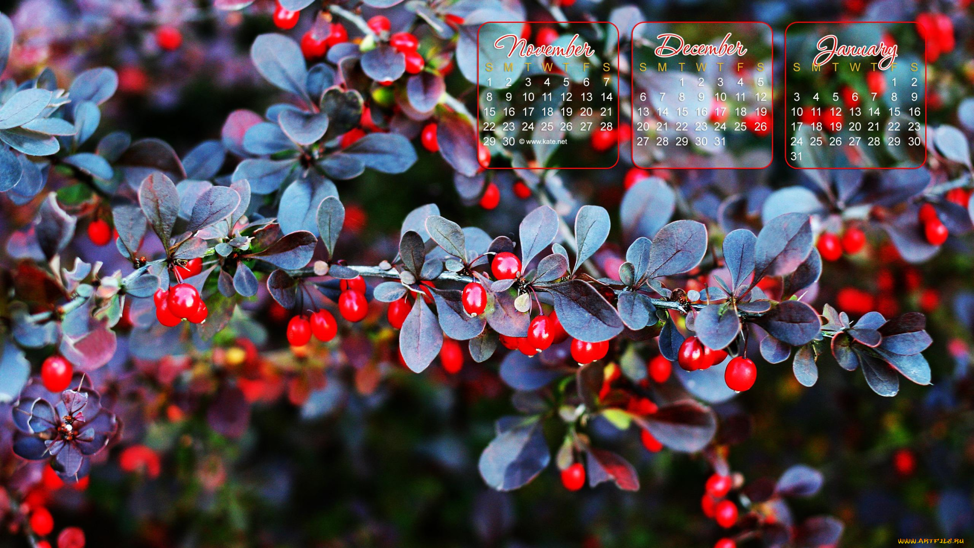 календари, природа