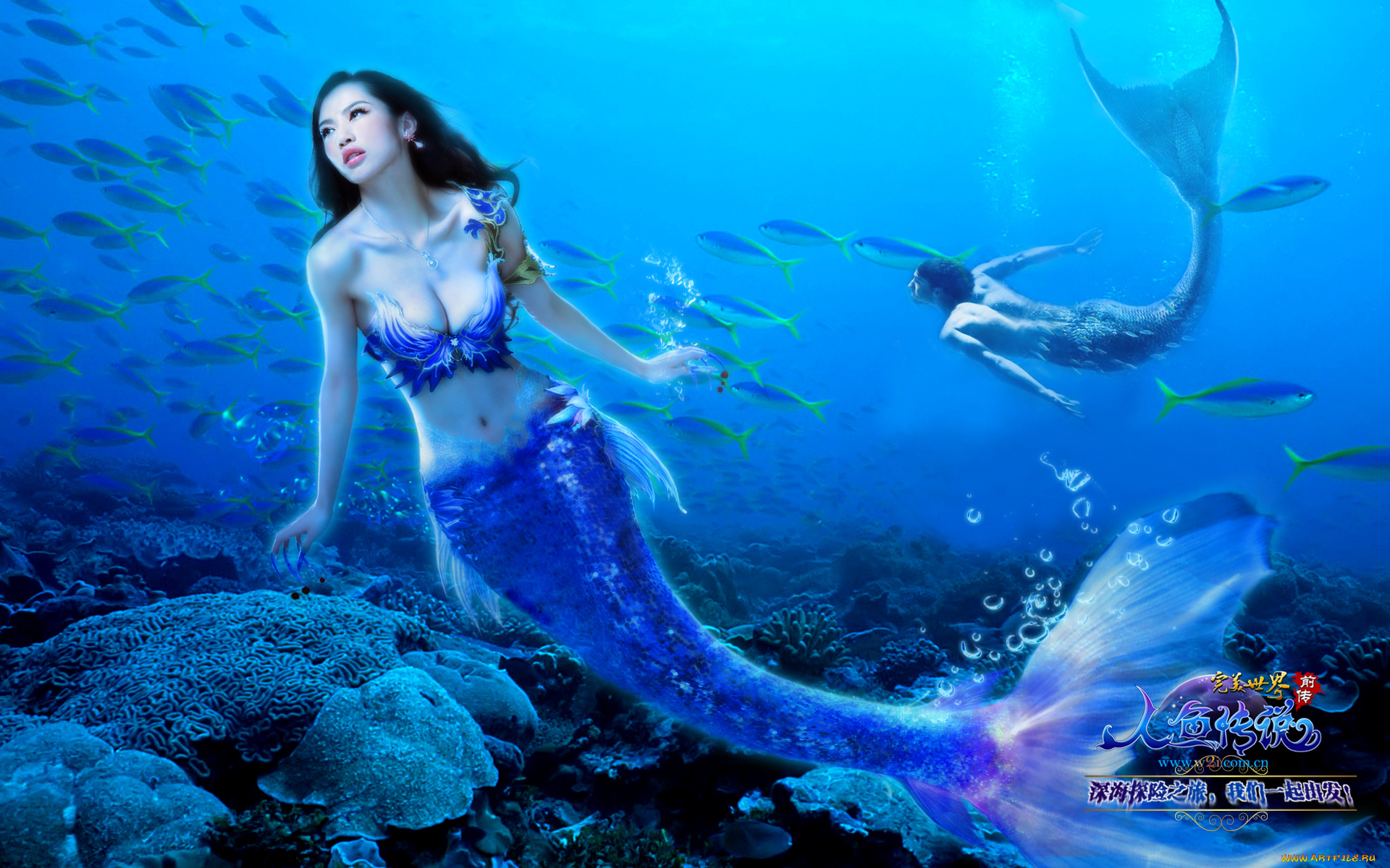 perfect, world, rising, tide, видео, игры, international