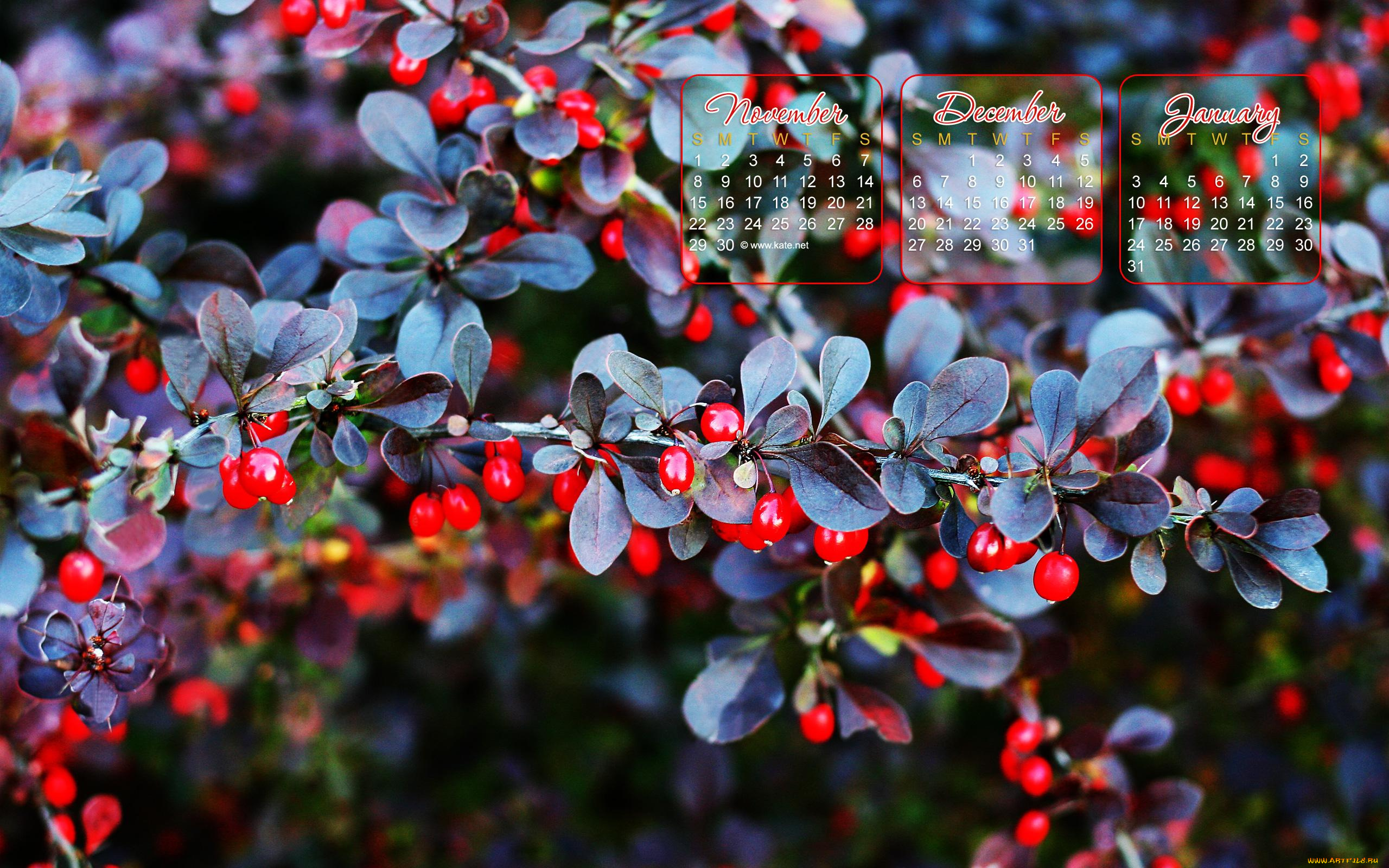 календари, природа