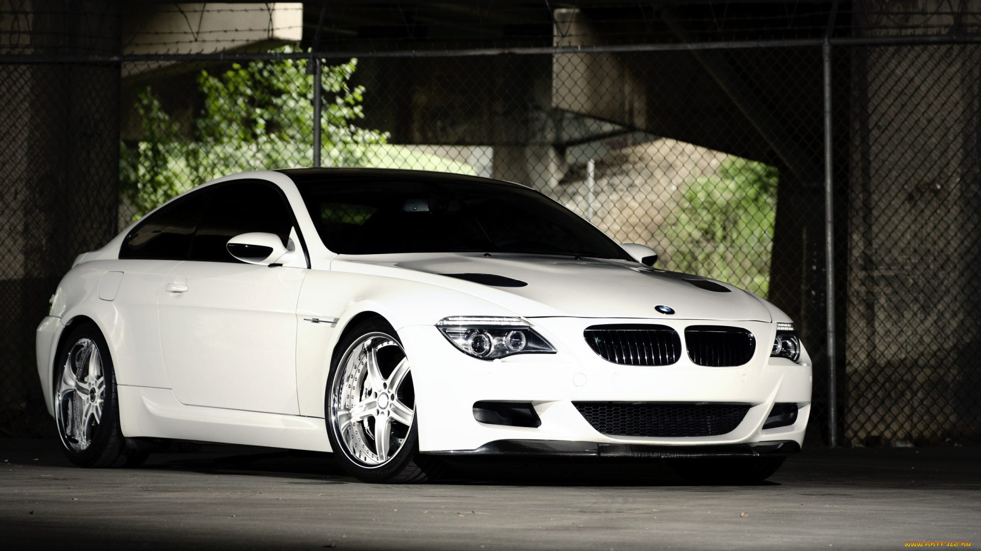 автомобили, bmw, 6, series, m6, white