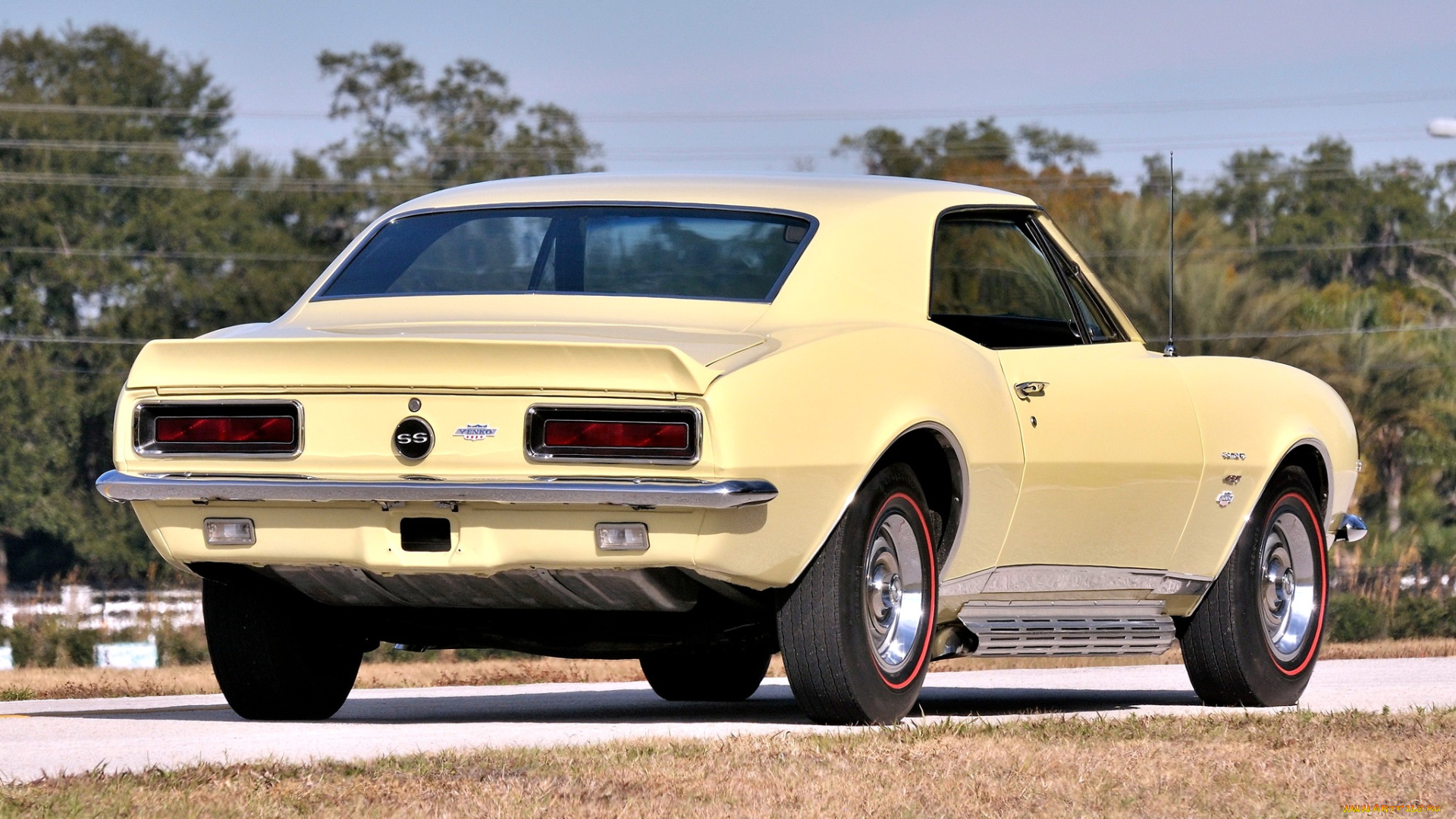 chevrolet, camaro, автомобили, стиль, мощь, скорость, автомобиль