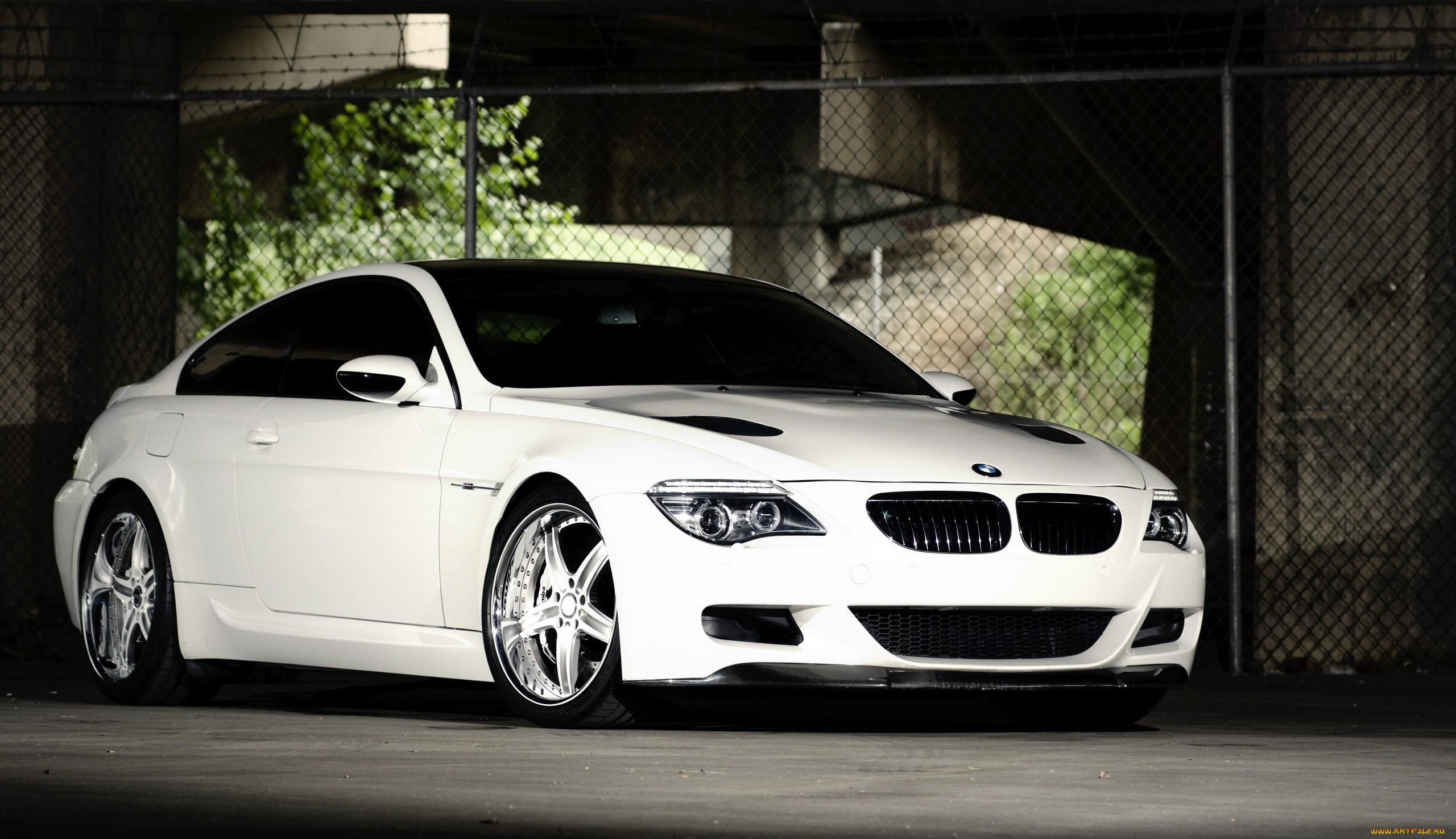 автомобили, bmw, 6, series, m6, white