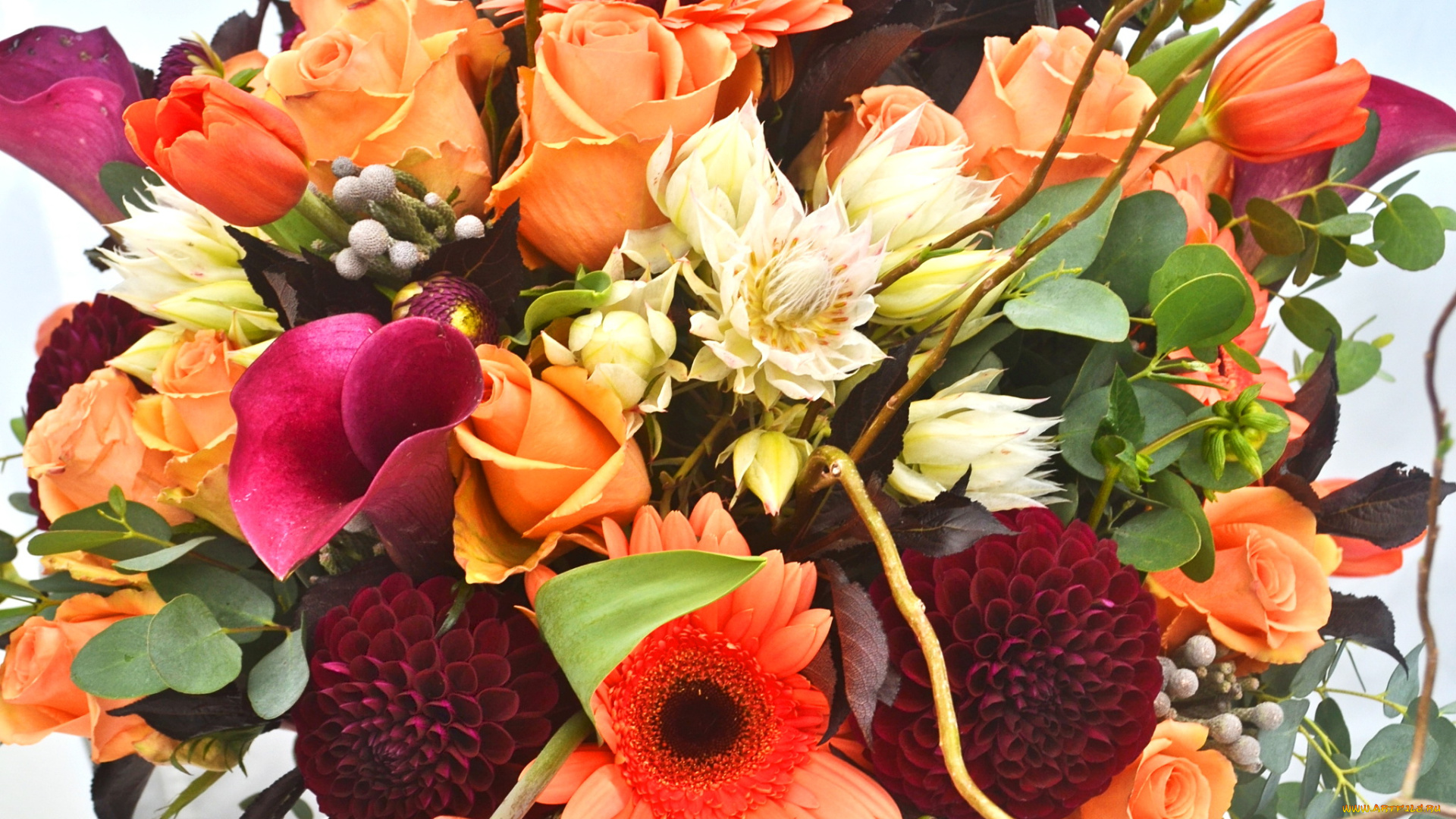 цветы, букеты, , композиции, герберы, розы, георгины, каллы, букет