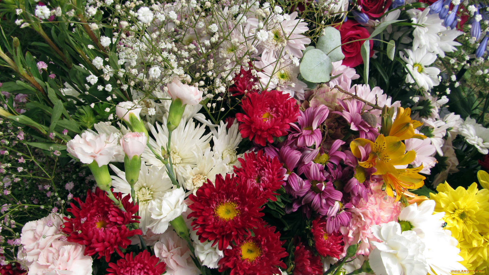 цветы, разные, вместе, розы, гвоздика, астры, гипсофила, альстромерия